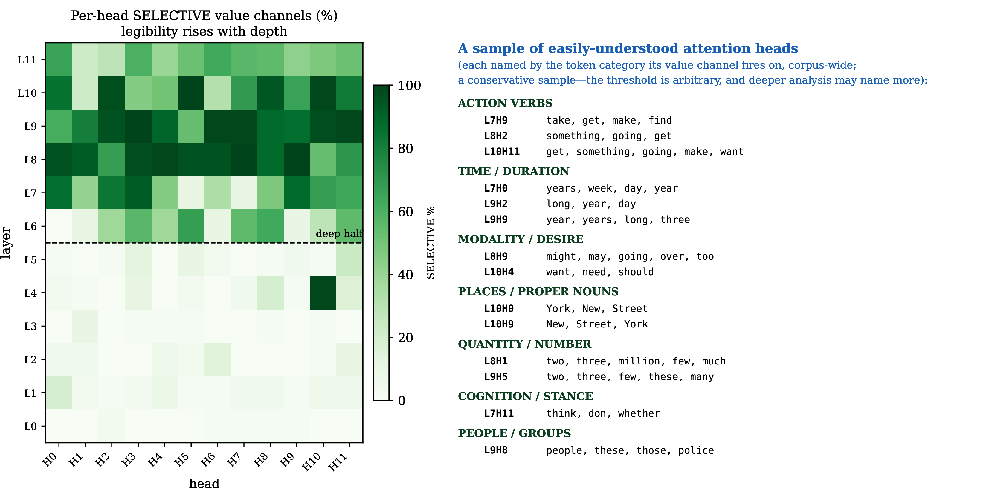 Figure 4: Per-head attention legibility across all 144 heads, measured over held-out corpus text—a description of what each head detects across all inputs, not of any single prediction. Left: the SELECTIVE fraction (crisp and contextual value channels) of each head—near-zero in the shallow layers, rising to 87–88\% by layers 8–9; the depth gradient of Figure 3, resolved per head. Right: a sample of the easily-understood deep heads—those whose most content-rich value channel fires on a clearly nameable category of tokens, grouped by category (modality, time, place names, quantity, action verbs, cognition, people). We do not treat the size of this sample as a hard boundary: it depends on an arbitrary readability threshold, and many of the remaining deep heads—crisp and contextual, but reading as syntactic or functional patterns here—likely carry a nameable meaning too, only harder to surface, which the deeper per-channel analysis we leave to future work may recover. On the sample itself, two caveats: this is each head’s most content-rich channel (its others are often functional), and a naive most-active-token readout is frequency-confounded (it collapses to “the”/“people”), so the labels restrict to the tokens a channel fires on decisively.