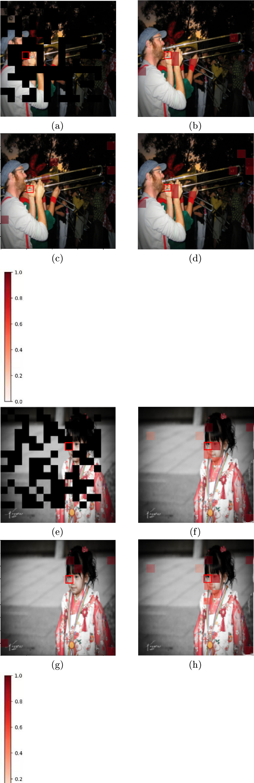 Figure 9: The first column, Fig. (a) and (e), represents the Mask Matrix.The second column, Fig. (b) and (f), illustrates the Attention Weights for clean samples.The third column, Fig. (c) and (k), depicts the Attention Weights for adversarial examples.The fourth column, Fig. (d) and (l), showcases the Attention Weights for denoised samples (by our AMRM-Pure_{\text{MAE}}). Patches with a deeper red color mean the elements with more attention. The data is sampled from the ImageNet dataset [18].