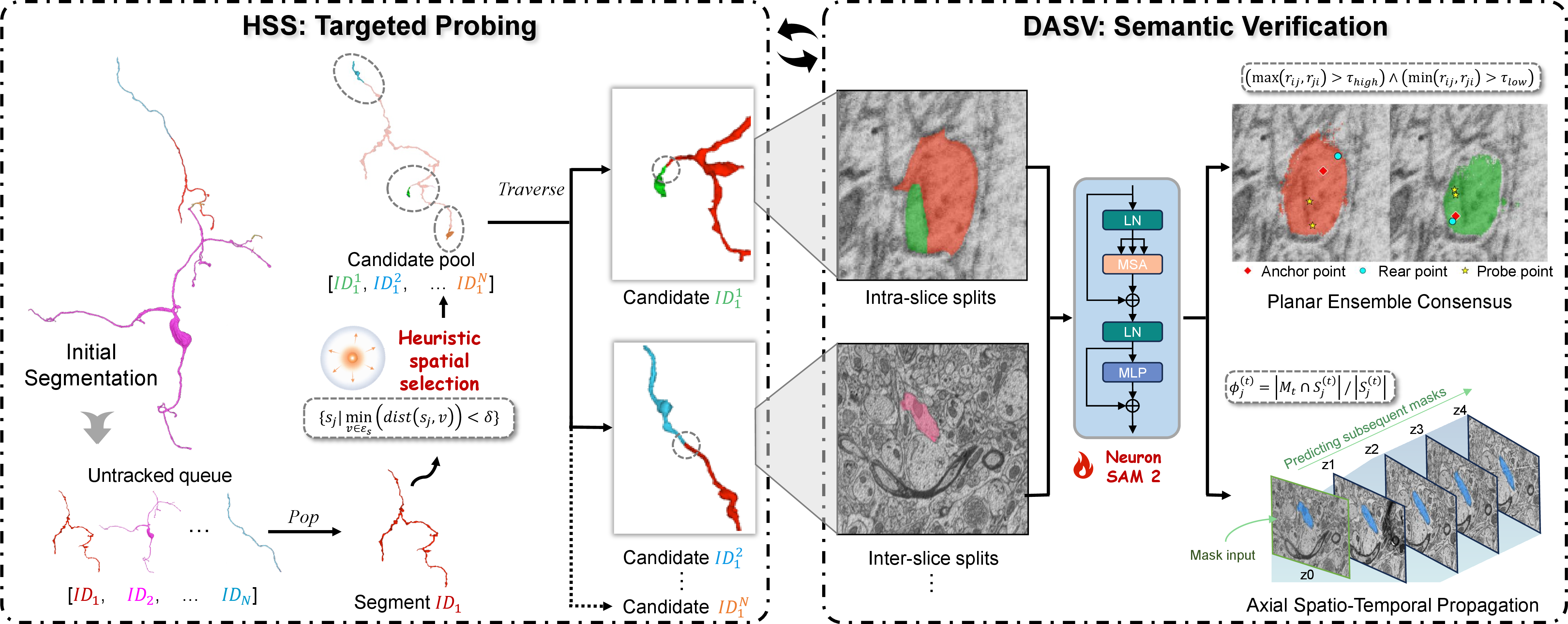 Figure 1: Overview of Probe-EM. The framework facilitates iterative tracing of complete neuronal morphologies through a synergistic probing-verification cycle.