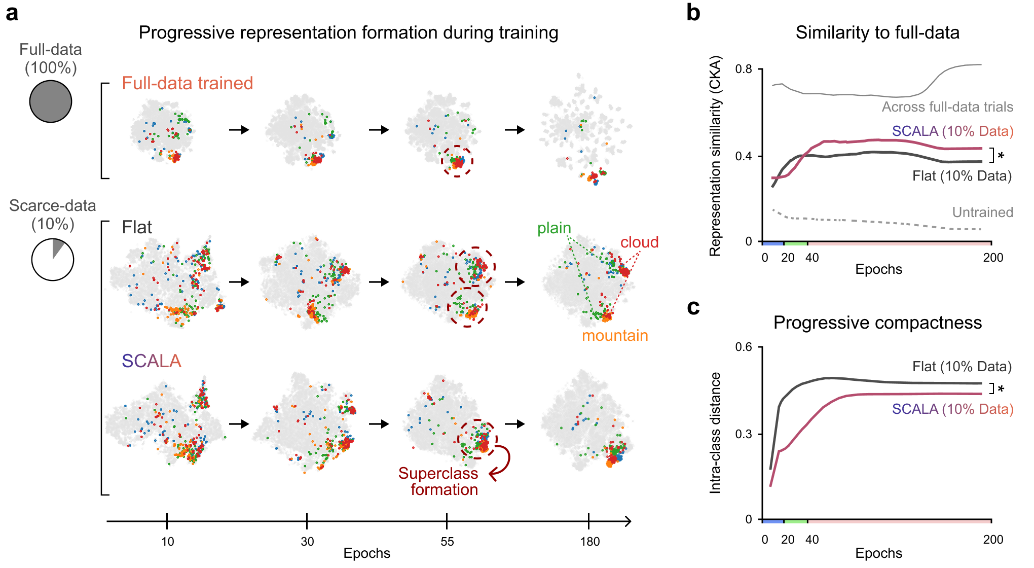 Figure 4: Progressive representation geometry analysis. (a) Evolution of representation geometry visualized with t-SNE in a 10% data regime. The flat-learning model and SCALA are compared across epochs 10, 30, 55, and 180, with the full-data model provided as a reference. Classes within large_natural_outdoor_scenes superclass are highlighted: cloud (red), mountain (orange), plain (green), and sea (blue). (b) Representational similarity to the full-data reference at the final residual stage of ResNet-18. The gray dashed line indicates an untrained network, while the gray solid line denotes the similarity between independently trained full-data trials. (c) Fine-level intra-class cosine distance across training. The gray solid line denotes the full-data trained model.