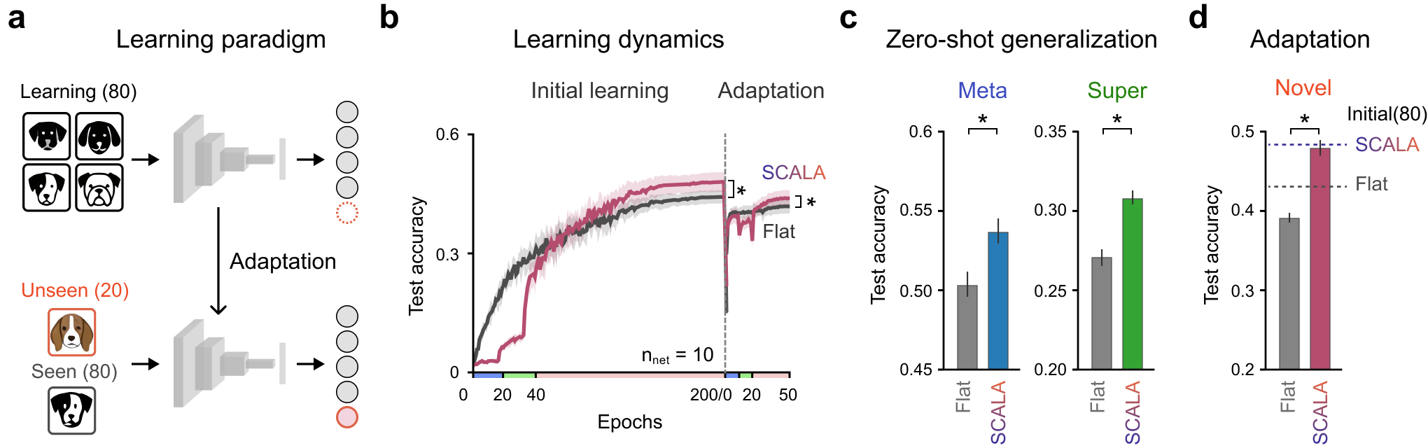 Figure 5: Generalization and adaptation to unseen classes. (a) Experimental setup in which models are first trained on 80 seen classes and subsequently adapted to all 100 classes after reintroducing the 20 unseen classes. (b) Test accuracy over training with an initial phase (0–200 epochs) on the 80 seen classes followed by an adaptation phase (0–50 epochs) on all classes. (c) Zero-shot higher-level generalization after initial 80 class learning, where images from the 20 unseen fine classes are correctly assigned to their corresponding meta- and super-level categories without additional training. (d) Fine-class test accuracy on the 20 unseen classes after additional training with all 100 classes, where dashed lines indicate the final test accuracy of initial 80 class learning.