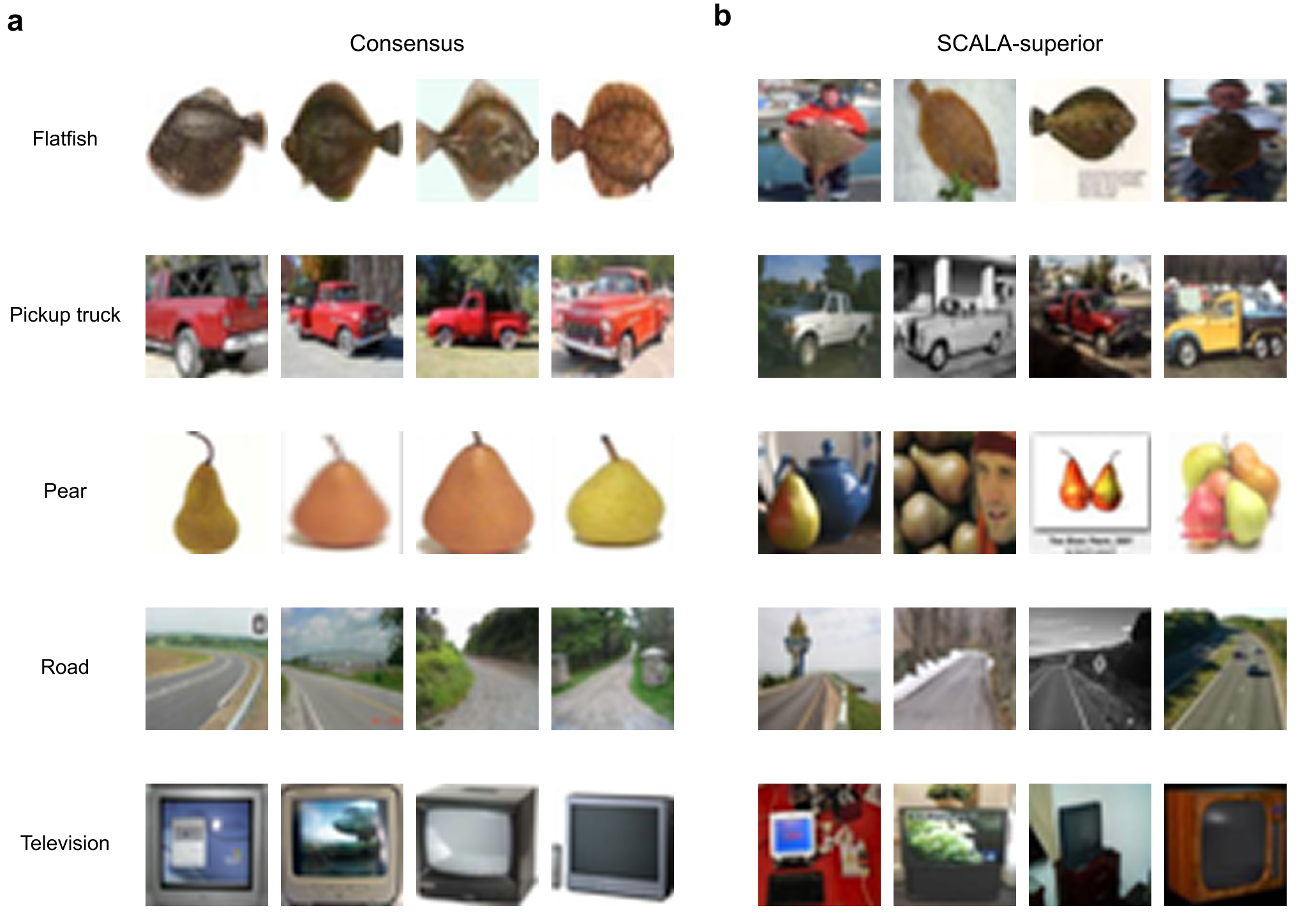 Figure 8: Additional consensus and SCALA-superior samples. The examples extend the sample groups shown in Fig. 2d,e.