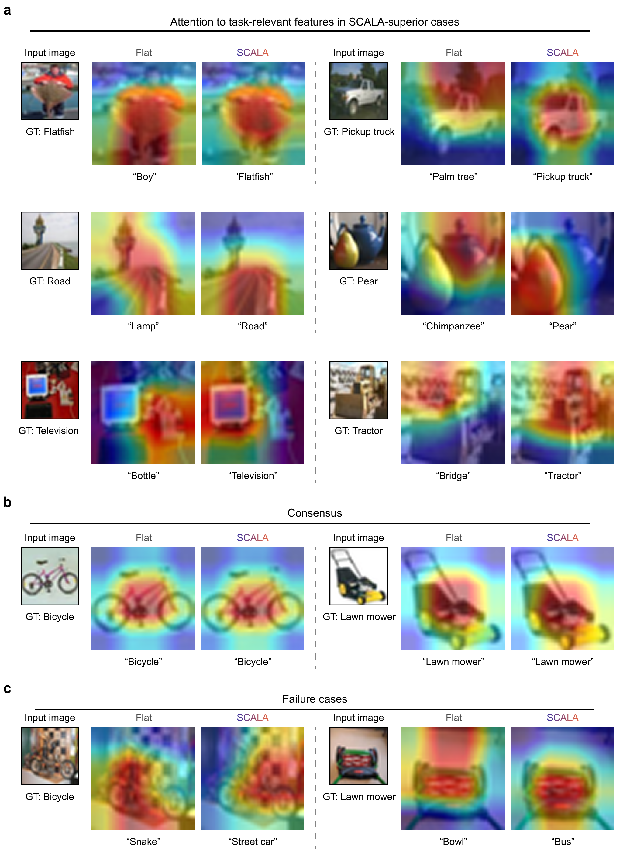 Figure 9: Additional Grad-CAM visualizations. Additional examples are shown for (a) SCALA-superior cases, (b) consensus cases, and (c) failure cases. Text below each heatmap indicates the model prediction; GT denotes the ground-truth class.