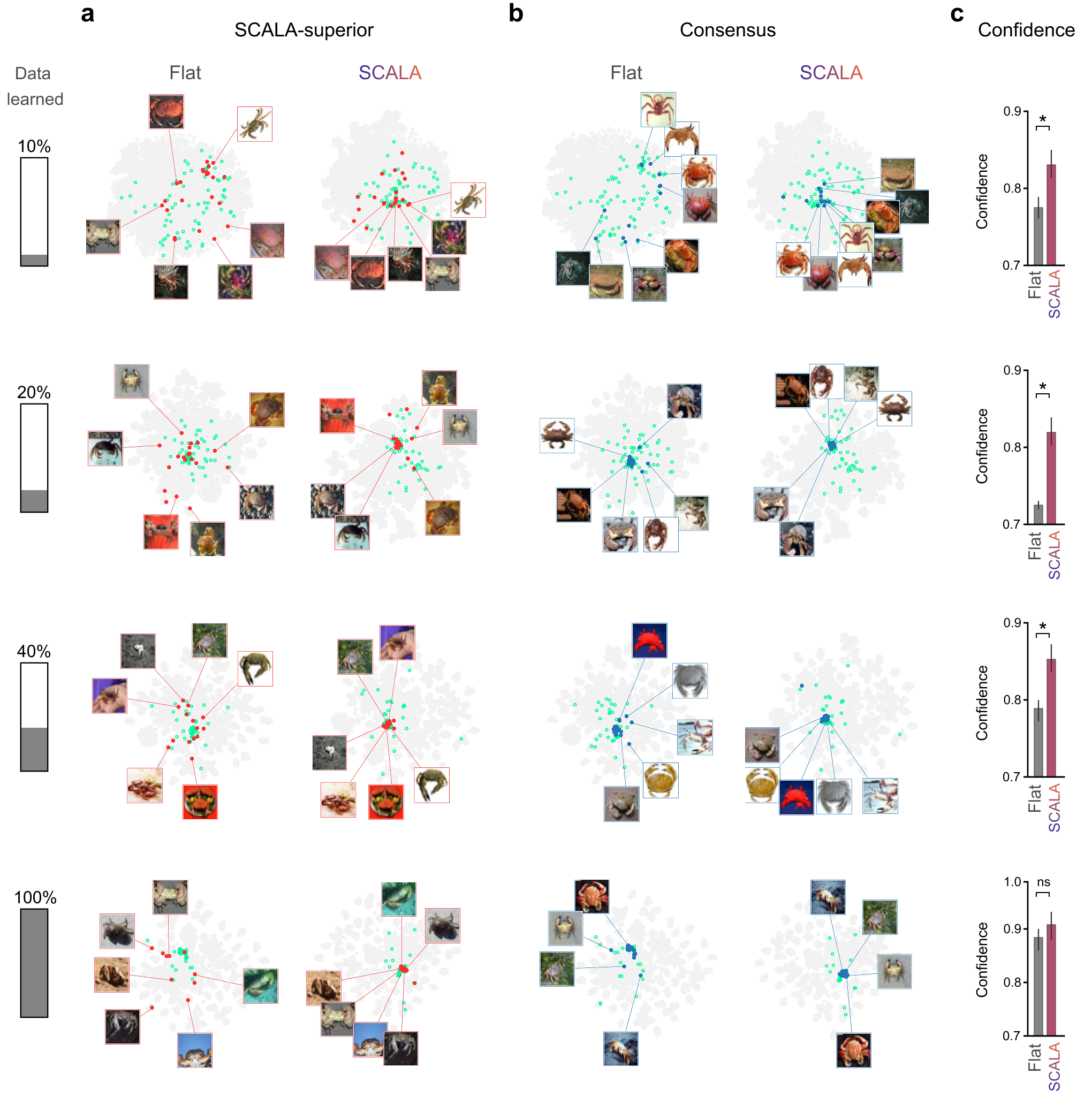 Figure 11: Feature-space organization and confidence in selected sample groups. (a,b) Final representation-space visualizations for the crab class across different training-data regimes, showing samples correctly classified by SCALA but misclassified by the flat-learning model (red points; a) and samples correctly classified by both models (blue points; b). Cyan points indicate crab-class samples and gray points indicate other test samples. Representative images are overlaid on selected points. (c) Prediction confidence on consensus samples across all classes.