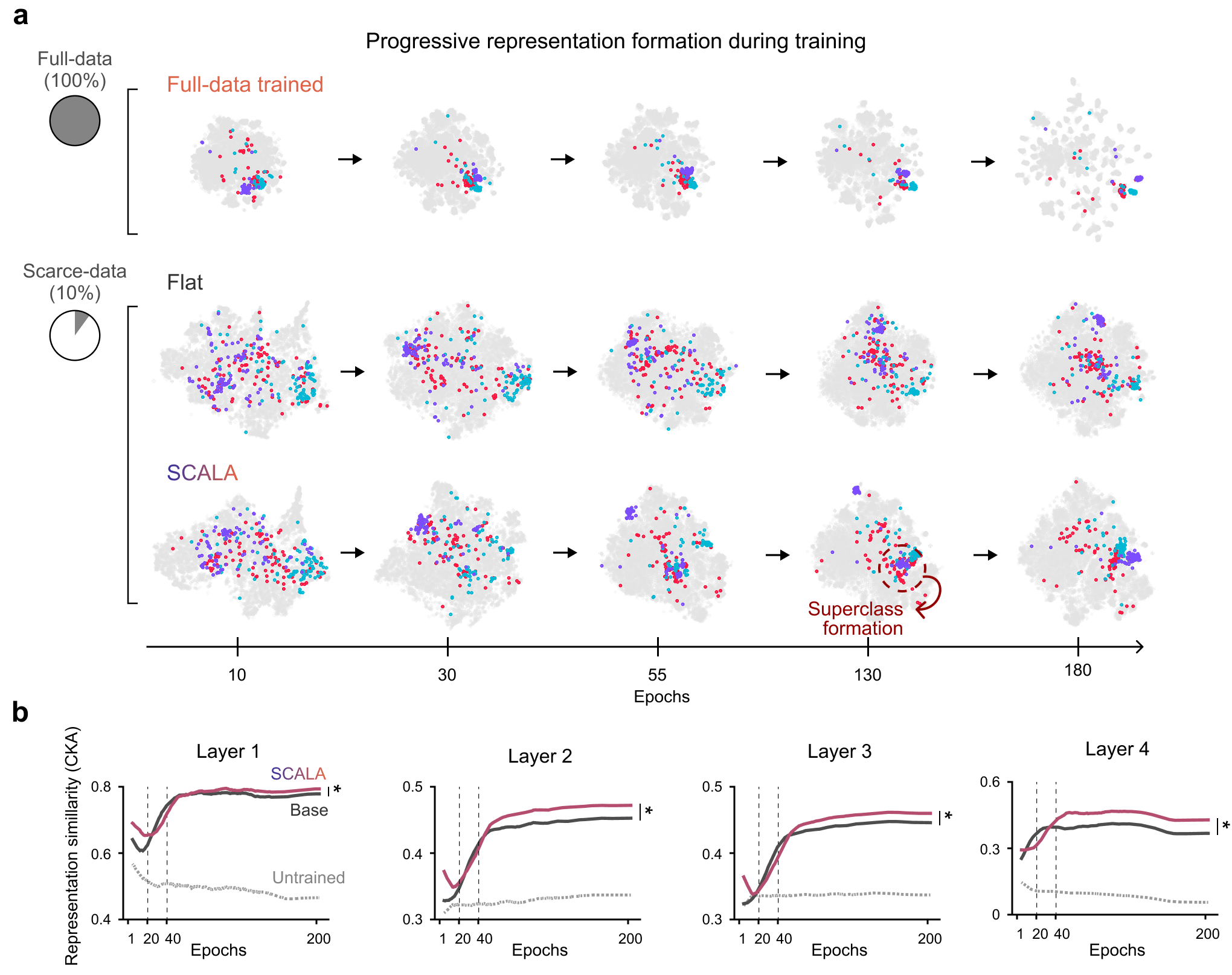 Figure 13: Progressive representation formation. (a) Evolution of representation geometry visualized with t-SNE in a 10% data regime, shown for an additional superclass example. The flat-learning model and SCALA are compared across epochs 10, 30, 55, 130, and 180, with the full-data model provided as a reference. Fine classes within the household_furniture superclass are highlighted: chair (cyan), bed (red), and wardrobe (purple). Gray points indicate all other classes. (b) Representational similarity to the full-data reference across all four residual stages of ResNet-18. The solid lines show the similarity trajectories for SCALA and the flat-learning model, while the gray dotted line indicates an untrained network, which serves as a lower-bound reference. The dashed vertical lines indicate the stage transitions at epochs 20 and 40. All layer-wise comparisons between SCALA and the flat-learning model were statistically significant (Flat vs. SCALA, n_{\mathrm{net}}=10, Wilcoxon rank-sum test, p<0.05).