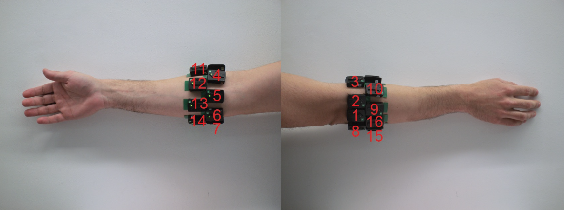Figure 5: The positioning of the 16 electrodes in the NinaPro dataset. Image reproduced from [26].