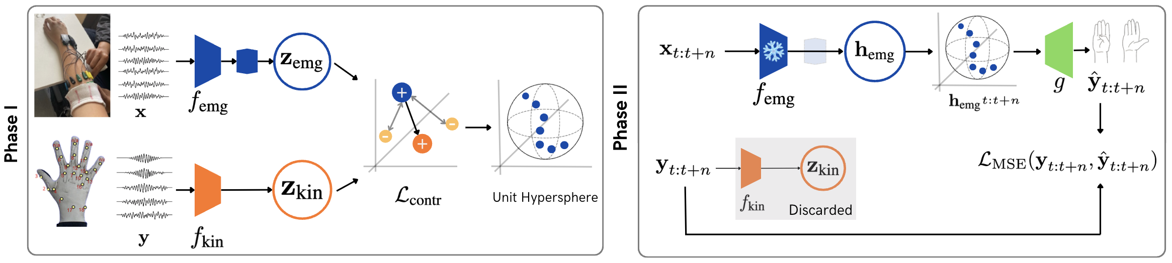 Figure 1: KinEMbed architecture and training phases. In Phase I, two MLP encoders (f_{\text{emg}}, f_\text{kin}) project EMG features \mathbf{x} and kinematic angles \mathbf{y} onto a shared 16-dimensional unit hypersphere trained via a contrastive objective with \ell_2-normalisation. In Phase II, the frozen EMG embedding is then passed to a TCN decoder (g) trained via an MSE objective for continuous DoA regression. Full details in Section 3.