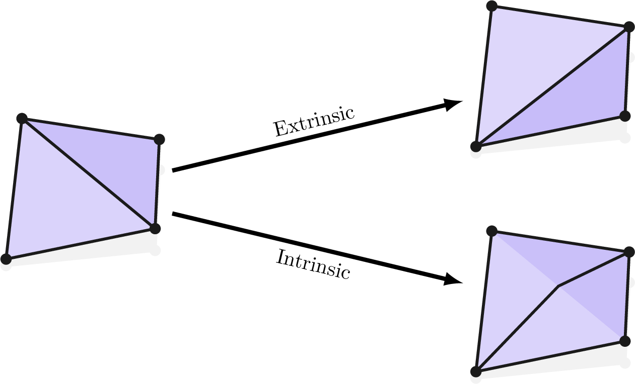Figure 4: Intrinsic and extrinsic edge swap.