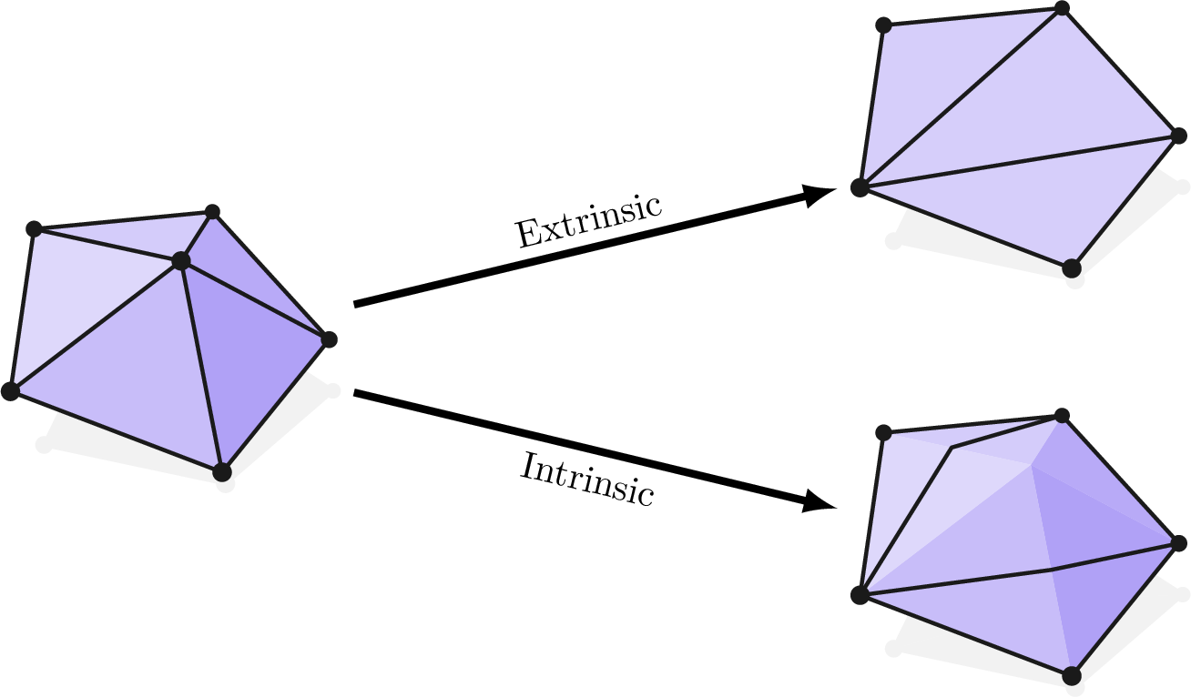 Figure 12: Intrinsic and extrinsic edge collapse.