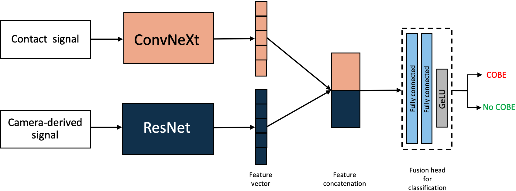 Figure 8: Hybrid multimodal architecture for COBE detection. Camera-derived features extracted using ResNet were fused with physiological features extracted using ConvNeXt. The resulting feature vectors were concatenated and processed by a fusion head before final classification.
