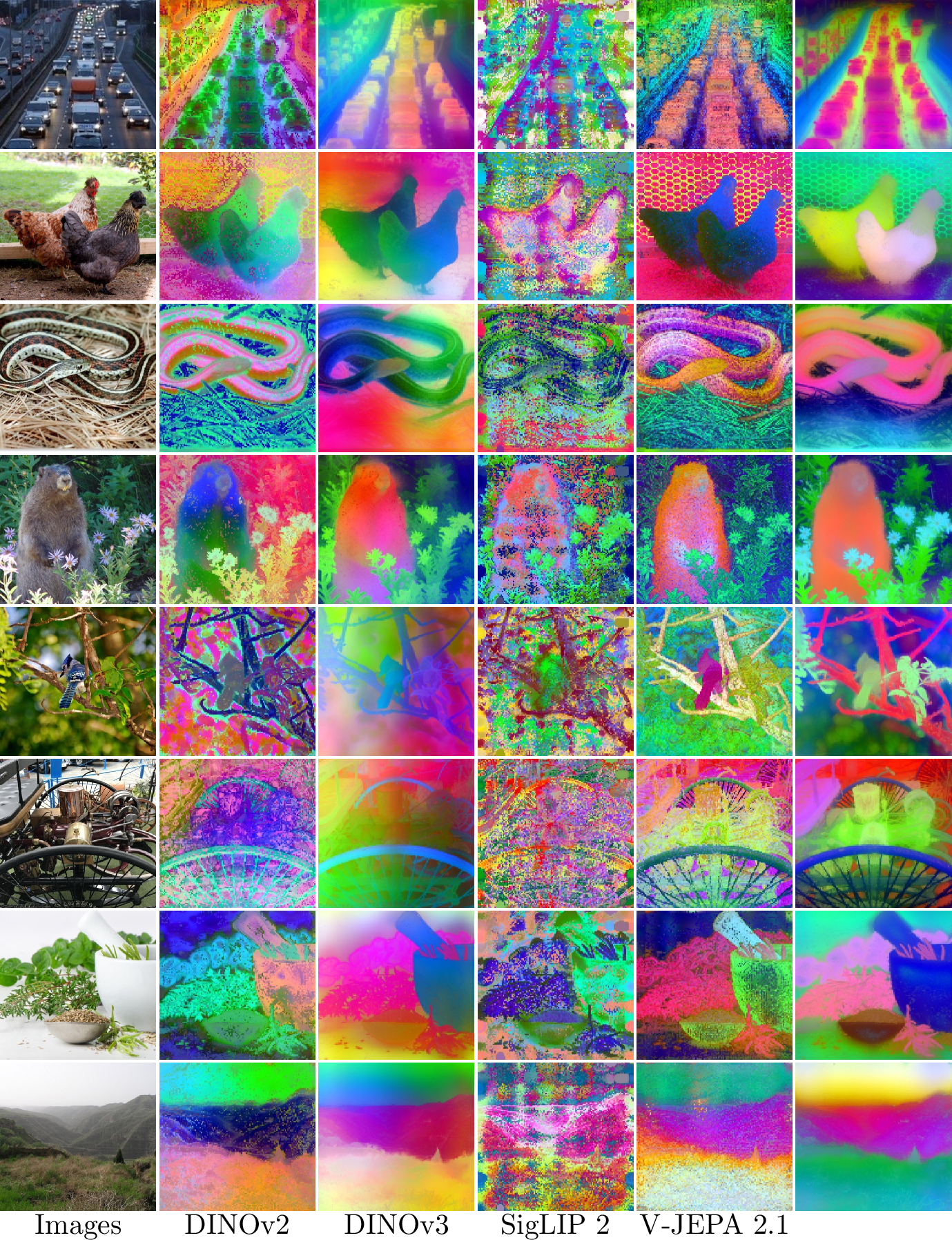 Figure 6: PCA of frozen patch features. The top threePCA components of the patch features are mapped to RGB, computed per imagefor each model (one model per column). LingBot-Vision(rightmost) resolves objectsas coherent regions with crisp boundaries: individual cars and lanestructure in the traffic scene, hen silhouettes against the wire fence, thewinding contour of the snake, and fine structures such as flower stalks andbranches. In comparison, DINOv2 exhibits per-token speckle, SigLIP 2degrades into blocky noise, and V-JEPA 2.1 lets background texture bleedinto the foreground regions.