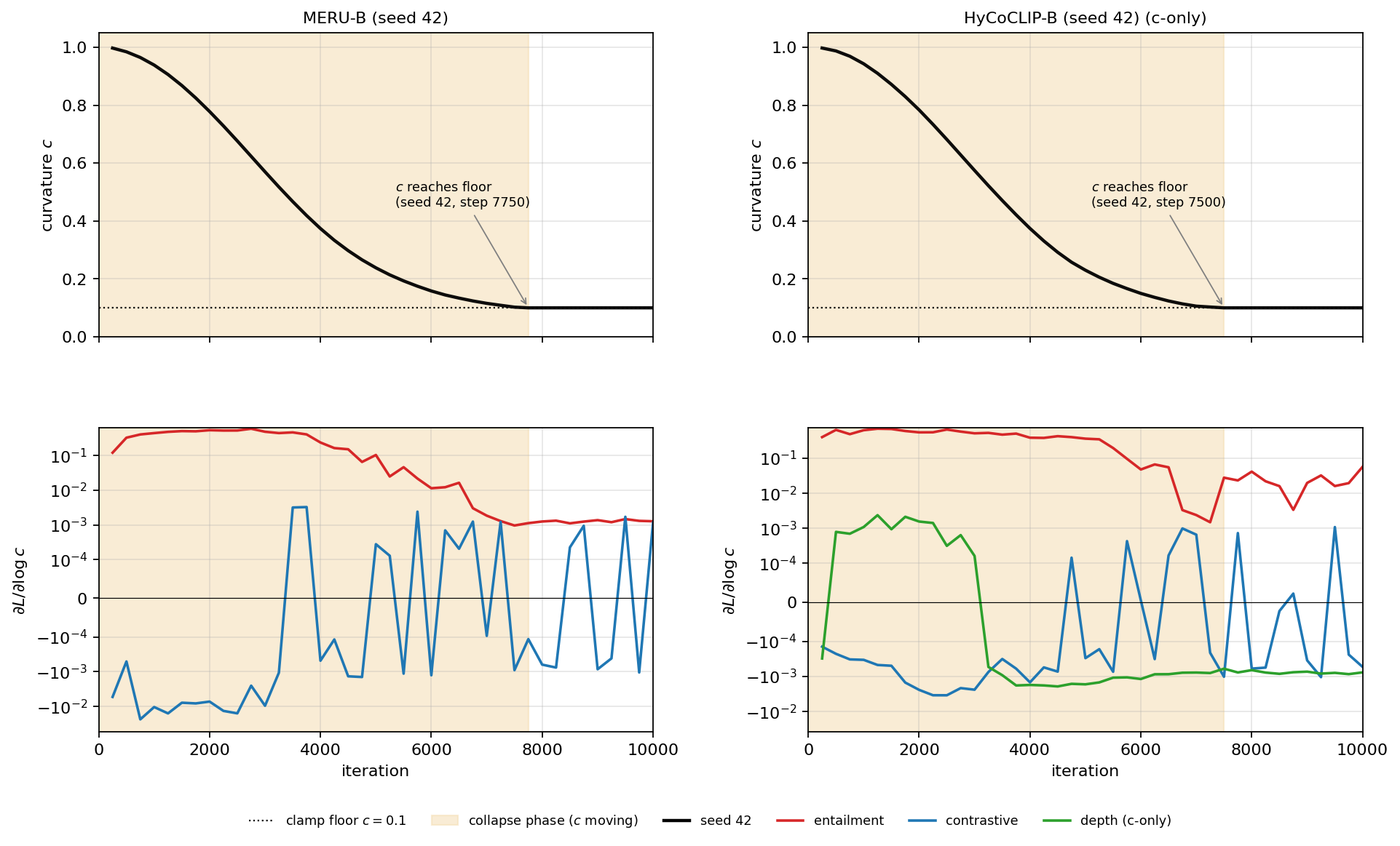 Figure 4: Full-objective gradient attribution during curvature collapse, across families (ViT-B; representative seed 42, first 10k steps, where c moves). Top: learned curvature c falls from 1.0 to the clamp floor (0.1, marked); the shaded region is the collapse phase. Bottom: per-loss curvature gradient \partial(\mathrm{loss})/\partial(\log c) on a symlog axis, raw before objective weighting (positive = c-down). For both MERU-B and HyCoCLIP-B, the entailment term (red) pushes curvature down throughout the collapse phase (0.1–0.7), the contrastive term (blue) runs counter to it on this trajectory with smaller magnitude, and the c-only depth counterfactual (green, HyCoCLIP only) stays one to four orders of magnitude smaller. The objective weight \lambda_{\mathrm{e}}=0.2 scales the entailment curve down but preserves its c-down sign. Per-seed sign fractions are in Appendix 16.2.