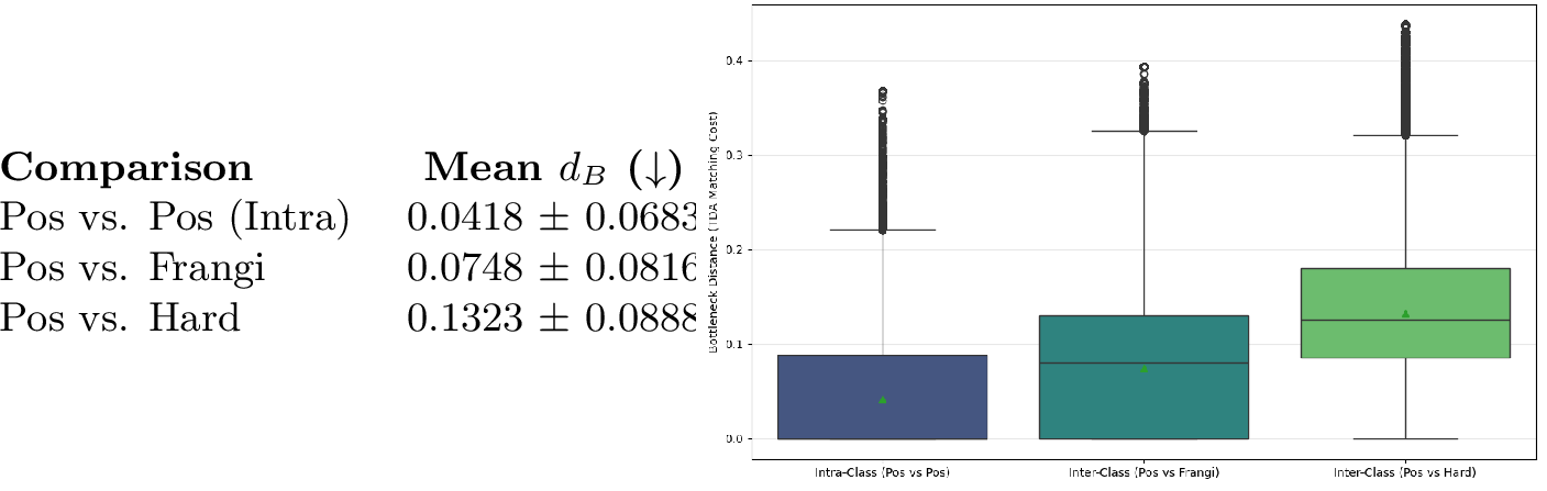 Figure 9: Empirical Topological Separability via H_2 Bottleneck Distance. The table (left) reports mean distances \pm standard deviation, while the box plot (right) illustrates the full distributions across comparison groups (green triangles denote distribution means; horizontal lines denote medians). Aneurysm patches exhibit the highest topological similarity to each other (lowest d_B), while Frangi-mined bifurcations occupy an intermediate regime, mathematically validating their role as the primary geometric confounder in CNN-based detection.