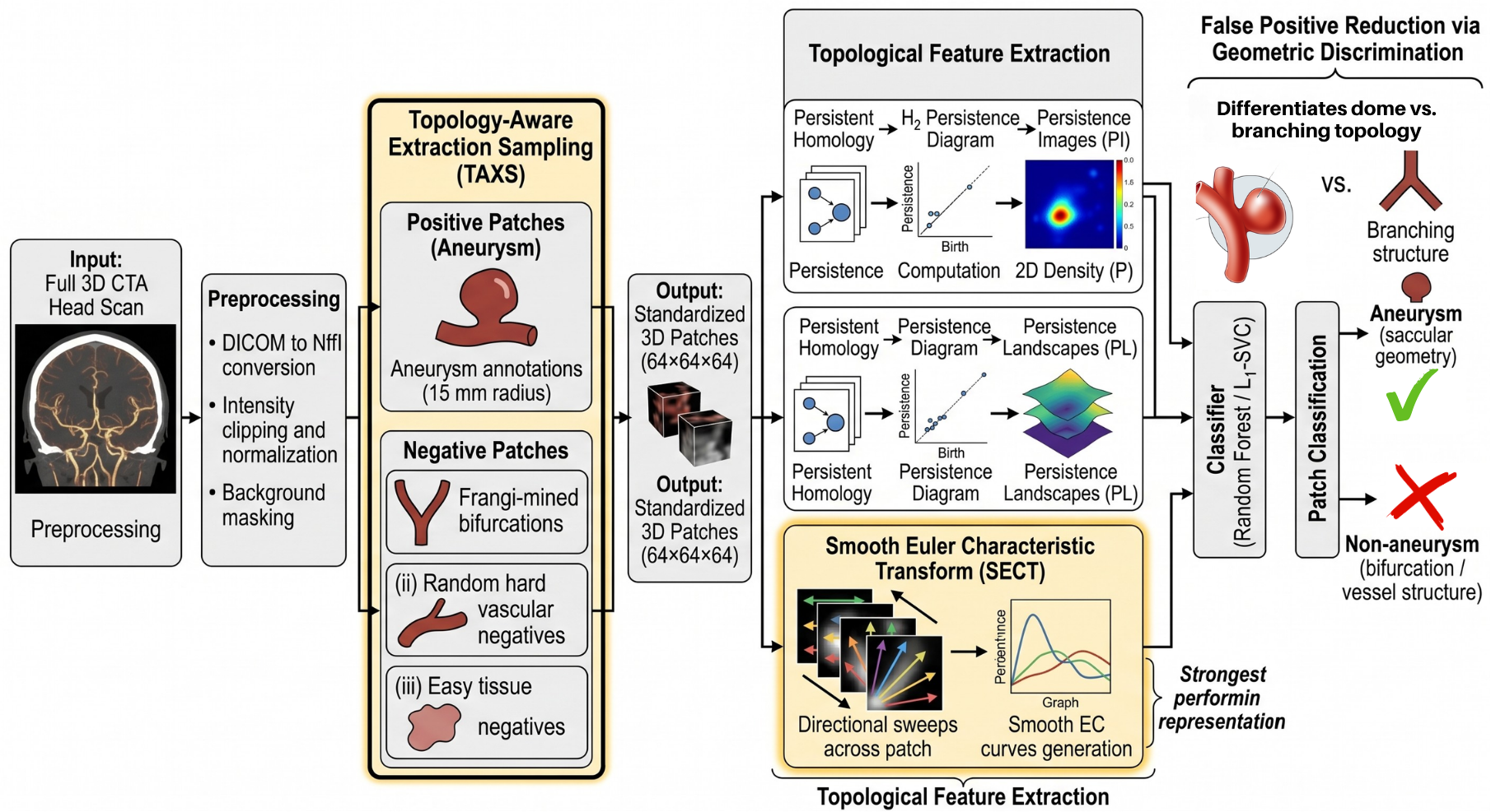 Figure 1: Topology-Aware False Positive Reduction Pipeline. Input CTA volumes undergo intensity standardization before localized 3D patches are extracted via the Topology-Aware Extraction Sampling (TAXS) strategy. Patches are heavily stratified into positive aneurysms and highly confounding negative classes (e.g., Frangi-mined bifurcations). Topological features are extracted via Persistent Homology (PI, PL) and directional filtration (SECT). Acting as a downstream filter, SECT provides the strongest representation, enabling the classifier to accurately discriminate saccular geometry from complex branching structures based purely on shape rather than pixel intensity.