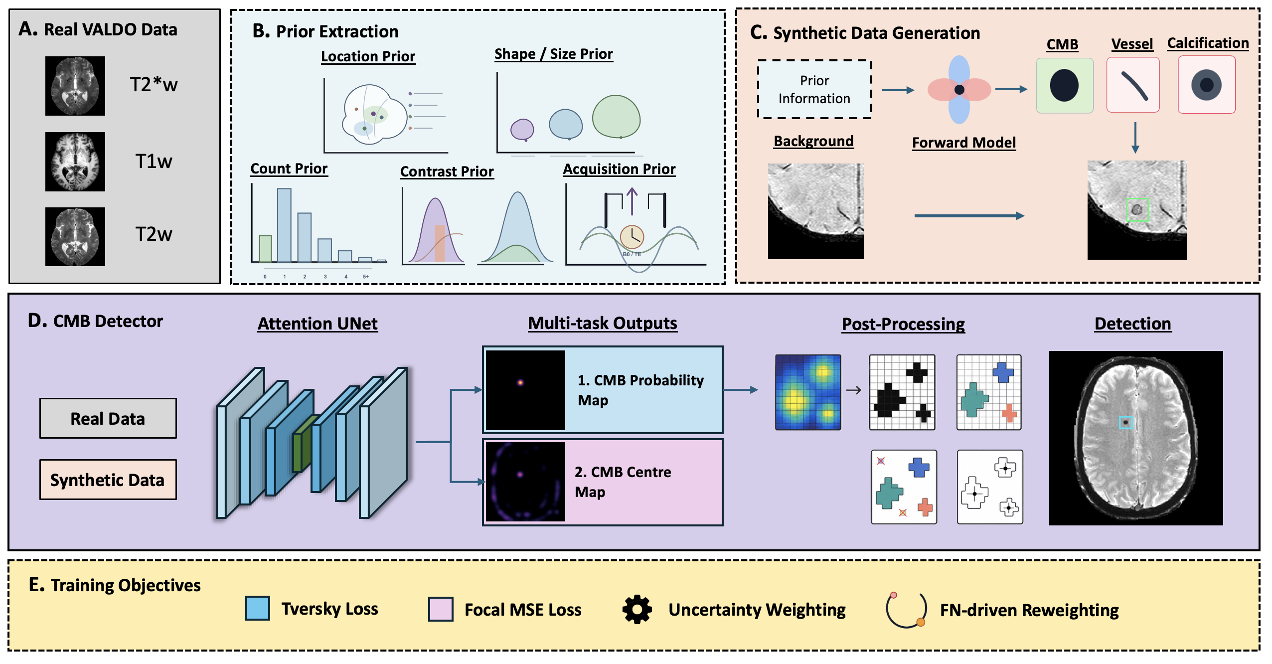 Figure 2: Overview of the centre-guided, synthesis-augmented CMB detection framework. (A) Real VALDO data provide T2S-space co-registered T2^*-weighted (T2^*w), T1-weighted (T1w), and T2-weighted (T2w) MRI volumes. (B) Training-fold statistics are used to estimate lesion location, count, shape/size, and acquisition priors. (C) Physics-guided synthesis inserts positive cerebral microbleeds (CMBs) and labelled vessel-like and calcification-like hard negatives into real image backgrounds. (D) Real and synthetic subjects train an Attention U-Net with a CMB probability map and an auxiliary CMB centre-map head; detections are obtained by connected-component post-processing and centroid extraction. (E) The objective combines Tversky loss, focal mean-squared error (MSE) centre-map loss, homoscedastic uncertainty weighting, and false-negative (FN)-driven reweighting.