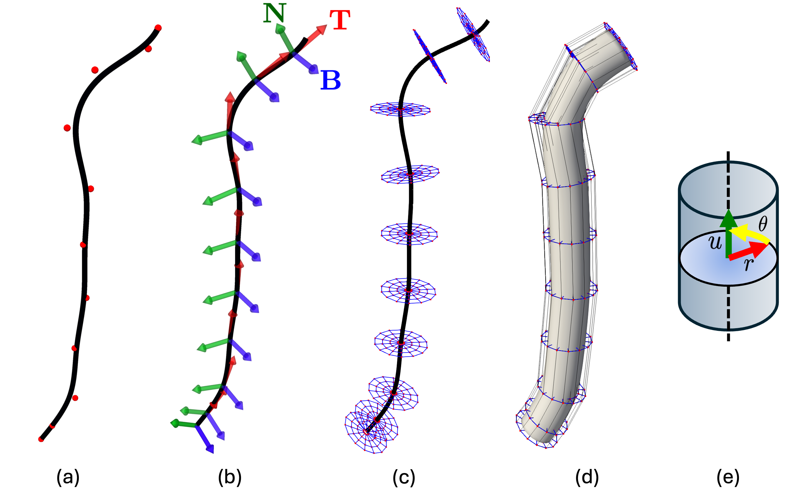 Figure 5: B-spline volumetric parametrization of a single branch. (a) Fitted centerline B-spline curve. (b) Rotation-minimizing frames defined along the centerline curve, with tangent (red), normal (green), and binormal (blue) vectors defined at each Greville abscissa on the curve. (c) Circular cross-sections swept along the centerline curve. (d) Evaluated tensor-product B-spline volume with its corresponding control-point lattice. (e) Schematic showing the cylindrical parameterization of the B-spline volume and the radial, circumferential, and axial parametric directions (r, \theta, u).