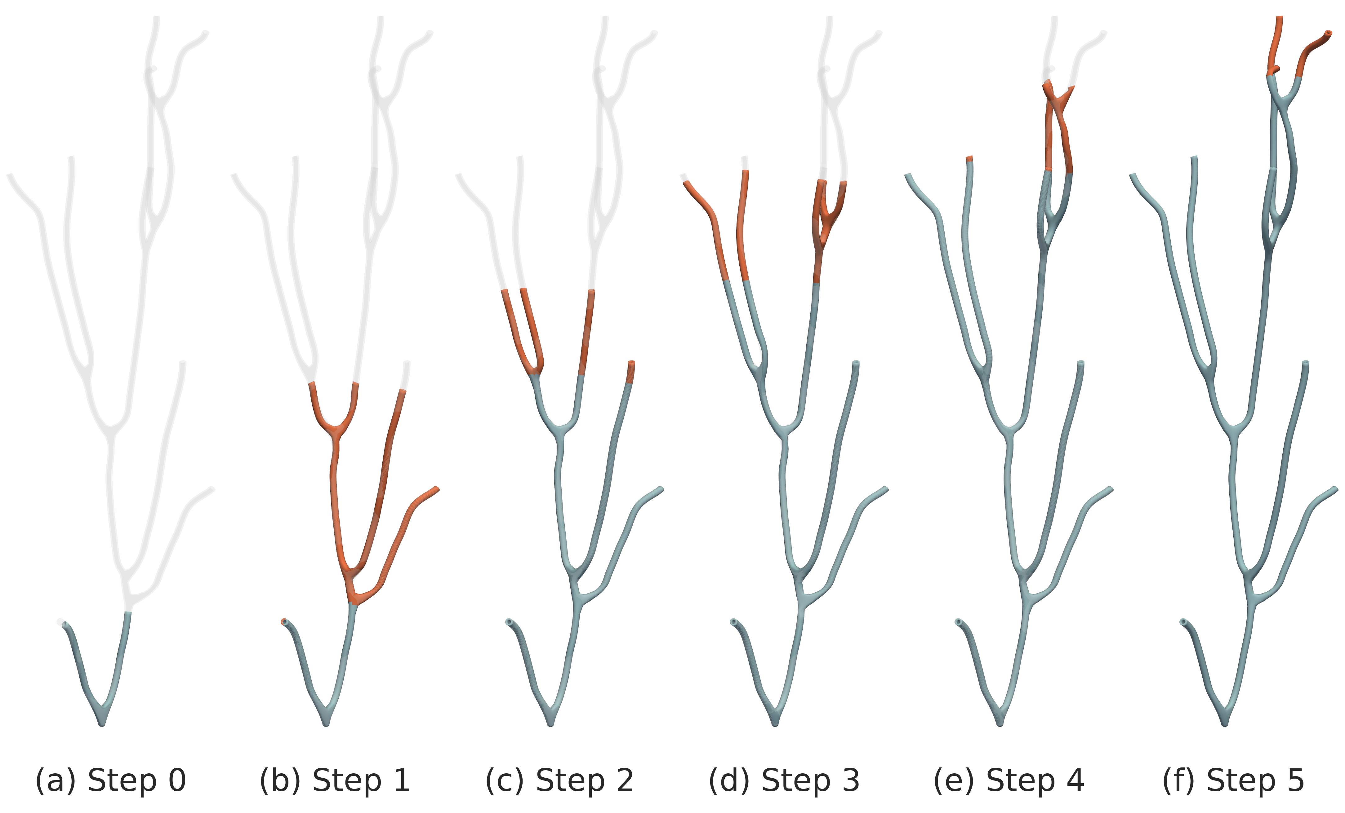 Figure 15: Volumetric reconstruction of a mung bean plant specimen at six representative growth stages via dynamic modeling. The meshes are generated by BFS-based frontier expansion of the skeleton graph from the root node. Newly added branches at each stage are shown in orange, while the plant geometry reconstructed in the previous stages is shown in blue. The fully mature plant geometry is overlaid as a gray silhouette.
