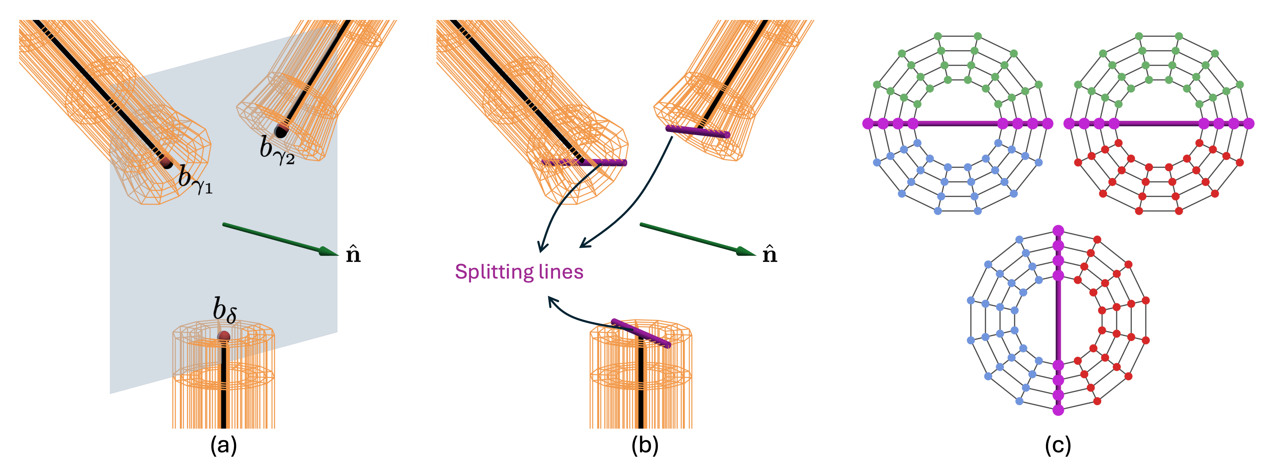 Figure 8: Splitting line construction at a bifurcation junction. (a) The junction plane, shown in gray, is defined by the junction-facing endpoints of the parent and child centerline curves. The unit vector perpendicular to the junction plane \hat{\mathbf{n}} is shown. (b) On the junction-facing control-point cross-section of each incident branch, the radial line that is most closely aligned with the direction of \hat{\mathbf{n}} is selected as the splitting line (shown in magenta). (c) The splitting line is the radial diameter that partitions each control lattice cross-section into two halves. Each color indicates the pair of control-lattice axial columns associated with pairwise continuity enforcement between the branch edges (b_\delta–b_{\gamma_1} (blue), b_\delta–b_{\gamma_2} (red), b_{\gamma_1}–b_{\gamma_2} (green)).