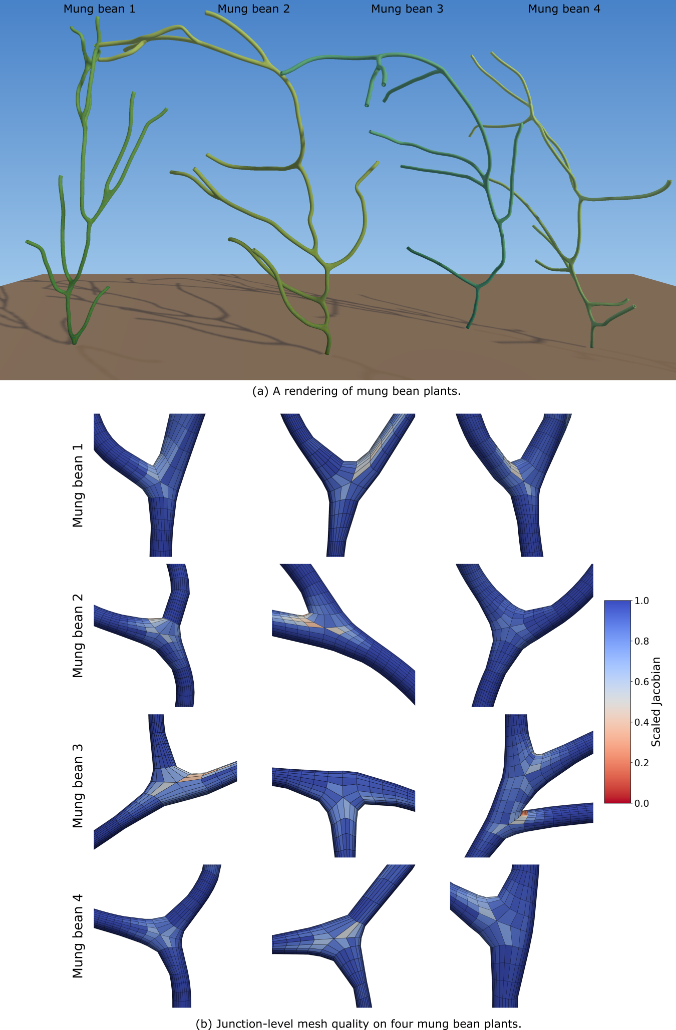 Figure 12: Mung bean plant volumetric mesh generation. (a) Rendering of the generated volumetric hex meshes for four mung bean plant specimens (Mung bean 1–4). (b) Close-up views of three representative bifurcation junctions from each plant specimen, colored by the element-wise scaled Jacobian q_{e}.