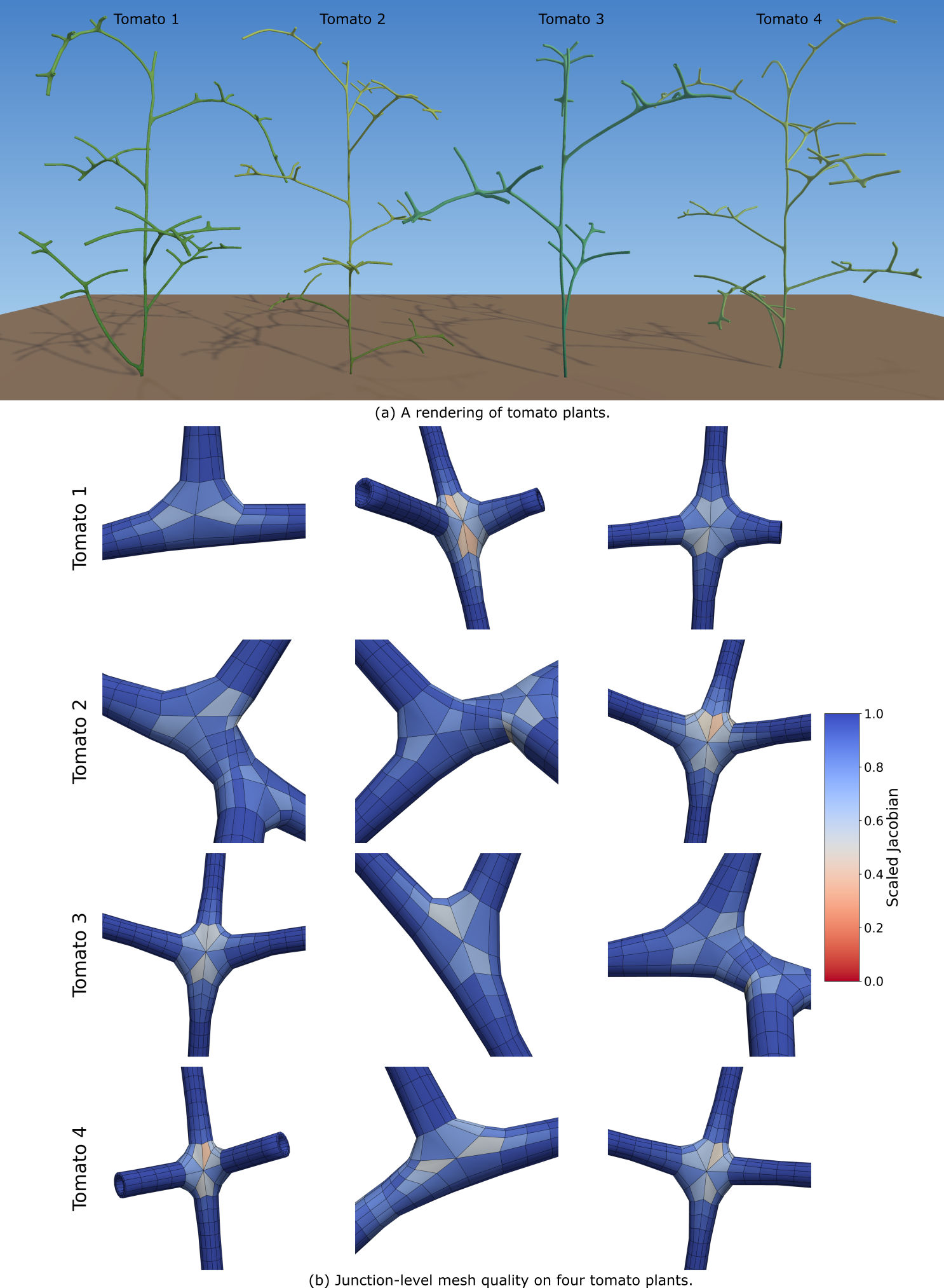 Figure 13: Tomato plant volumetric mesh generation. (a) Rendering of the generated volumetric hex meshes for four tomato plant specimens (Tomato 1–4). (b) Close-up views of three representative junctions from each plant model, colored by the element-wise scaled Jacobian value q_{e}.