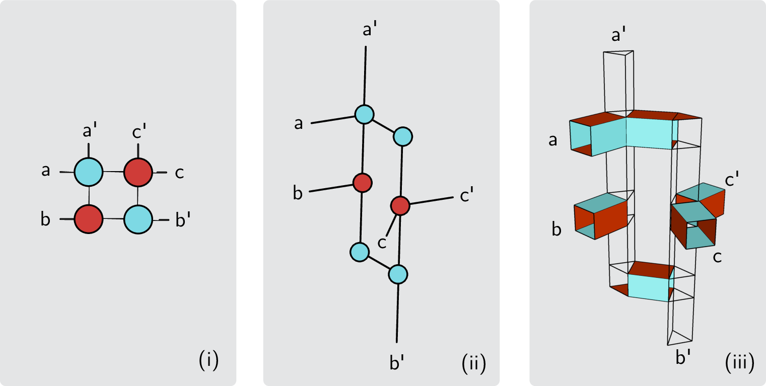 Figure 22: With the compact ZX diagram of the 3 CNOTs (i) one can embed the ZX diagram in space more directly if open ports in space and time are allowed (ii, iii).