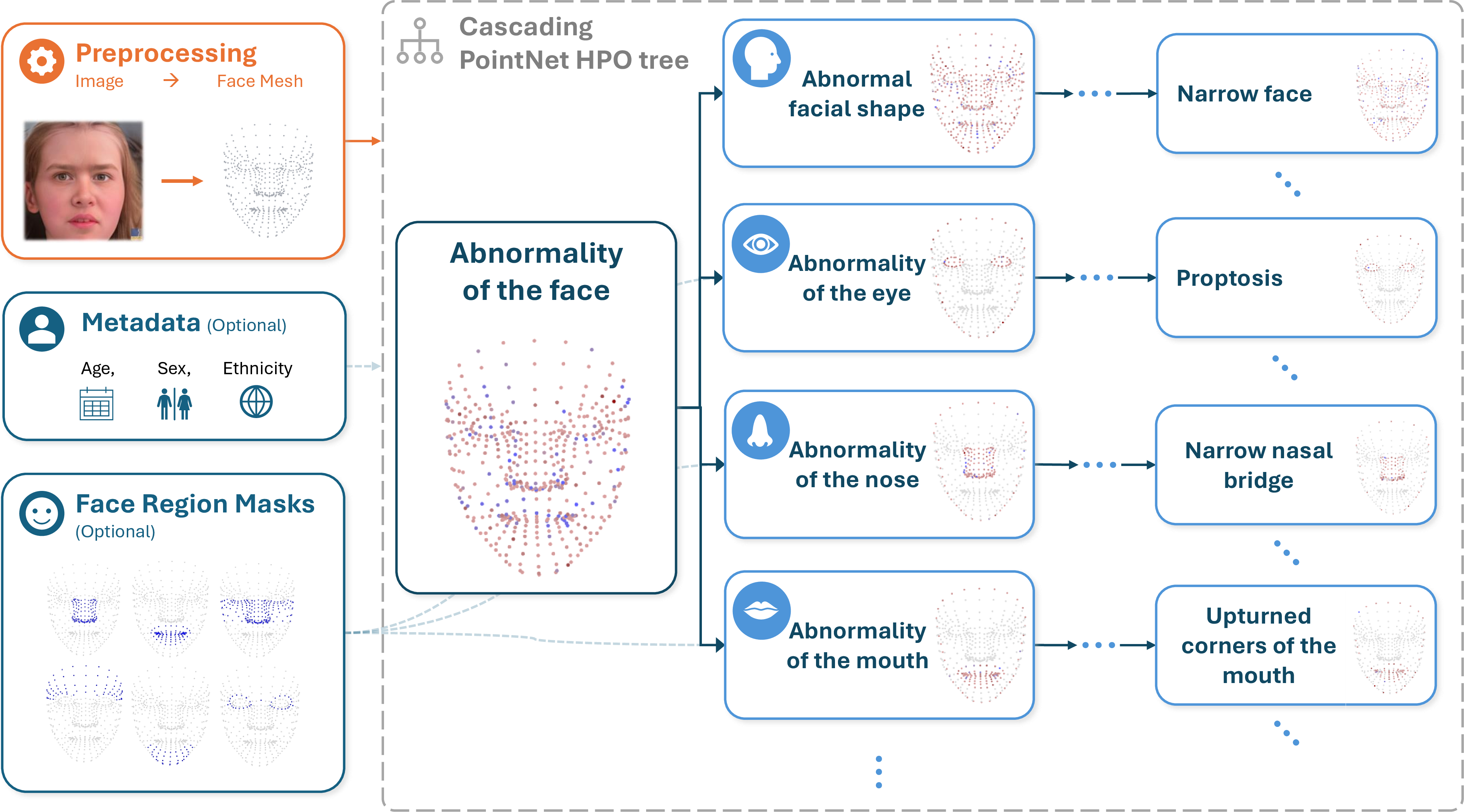 Figure 2: A schematic overview of the full FaceMesh2HPO Framework with the corresponding point importance visualizations of the face meshes for the HPO models. GestaltGAN [23] was used to synthesize the exemplary patient photograph.