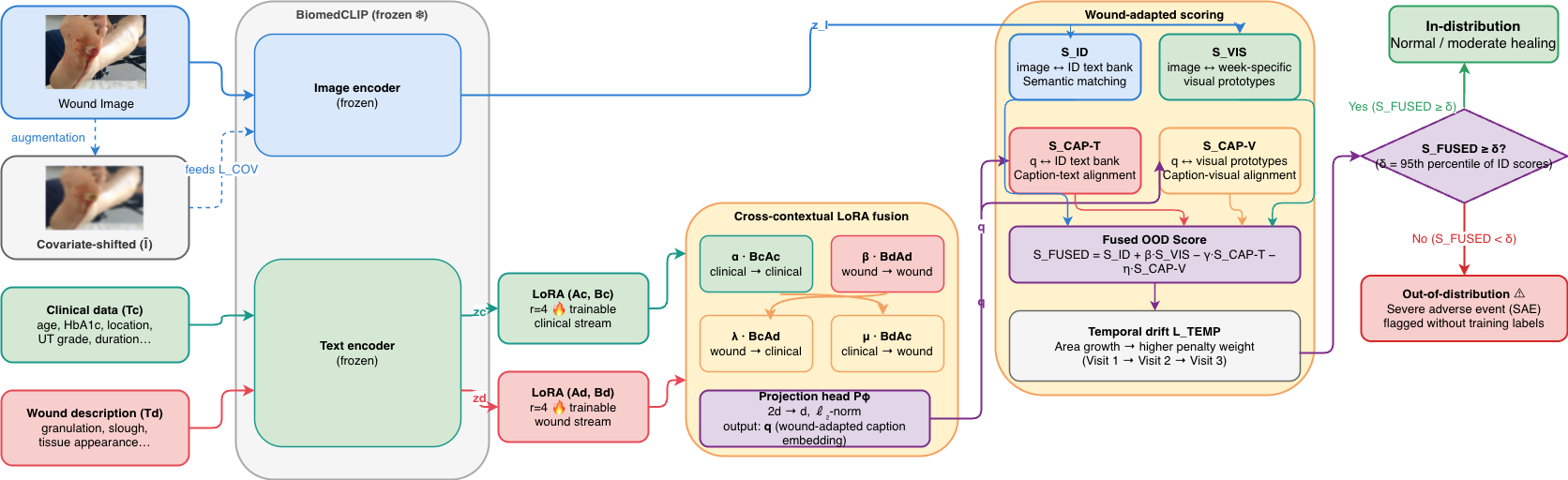 Figure 2: Proposed wound-adaptive multimodal OOD detection pipeline integrating frozen BiomedCLIP encoders, dual-stream LoRA adaptation, cross-contextual feature fusion, multimodal semantic scoring, and temporal drift-aware OOD classification.