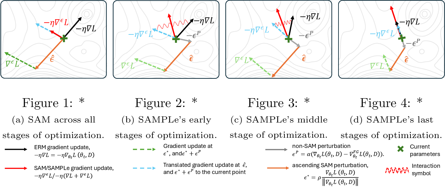 Figure 2: SAMPLe vs. vanilla SAM: Unlike SAM, which applies uniform gradient updates, SAMPLe dynamically adjusts gradients across stages, promoting smoother optimization in early stages and robust convergence in later stages, resulting in improved generalization and performance.
