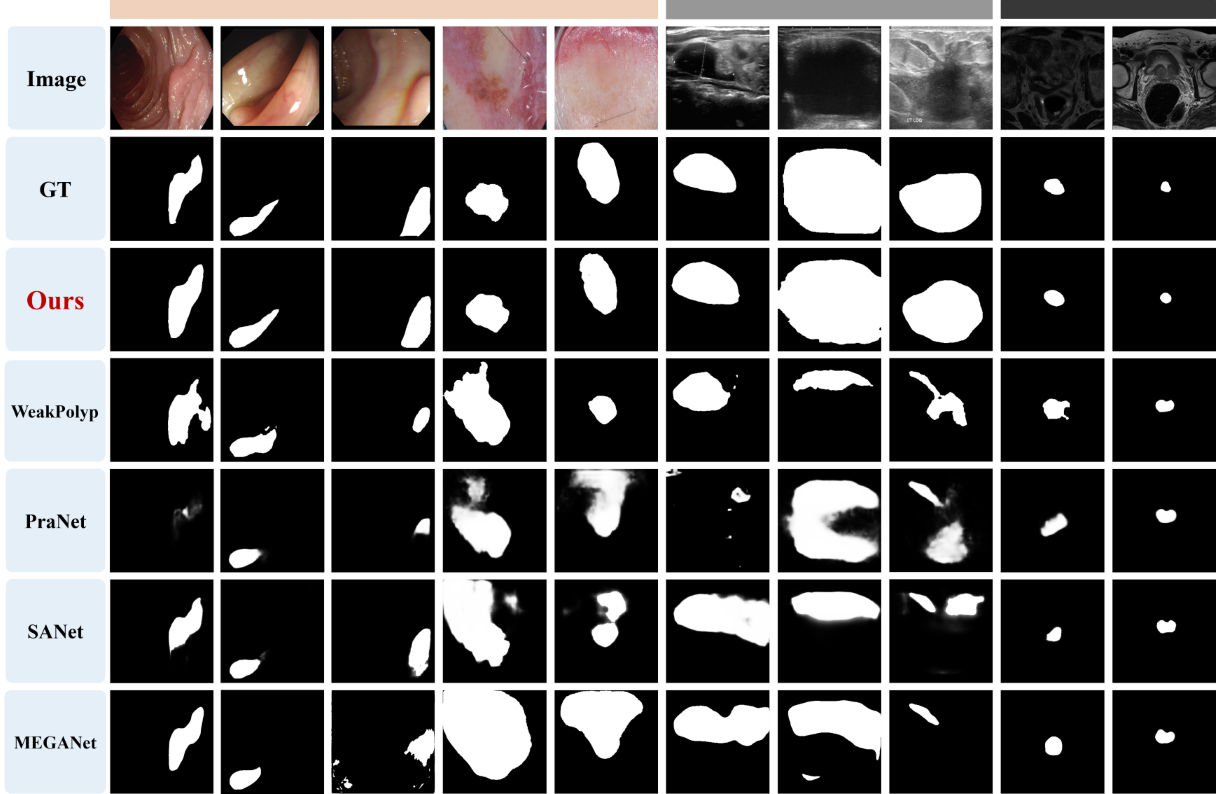 Figure 4: Visualization comparison across three modalities.