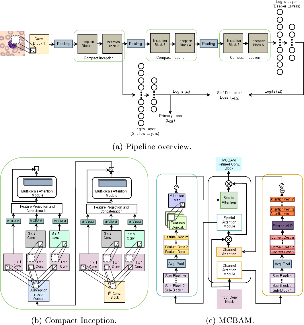 Figure 1: MSA-DCNN overview and key components: (a) end-to-end pipeline; (b) compact Inception (multi-scale deformable conv); (c) MCBAM internals.