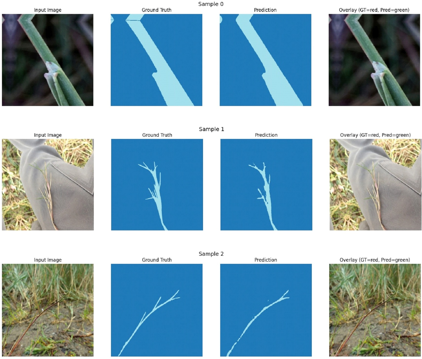 Figure 5: SegFormer-B5 architecture used for semantic segmentation of UAV salt marsh imagery. The hierarchical Mix Transformer (MiT-B5) encoder extracts multi-scale features at four resolution stages, while the lightweight MLP decoder fuses them into a pixel-level prediction map producing three semantic classes: background, Spartina maritima, and Puccinellia maritima [15].