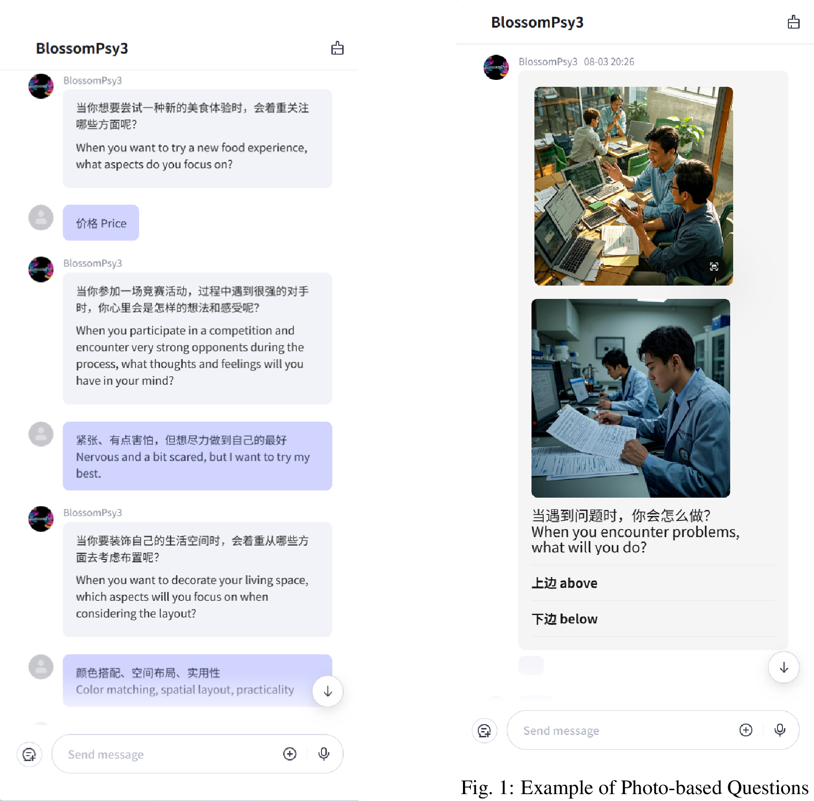 Figure 20: Example of Multi-chat Questions