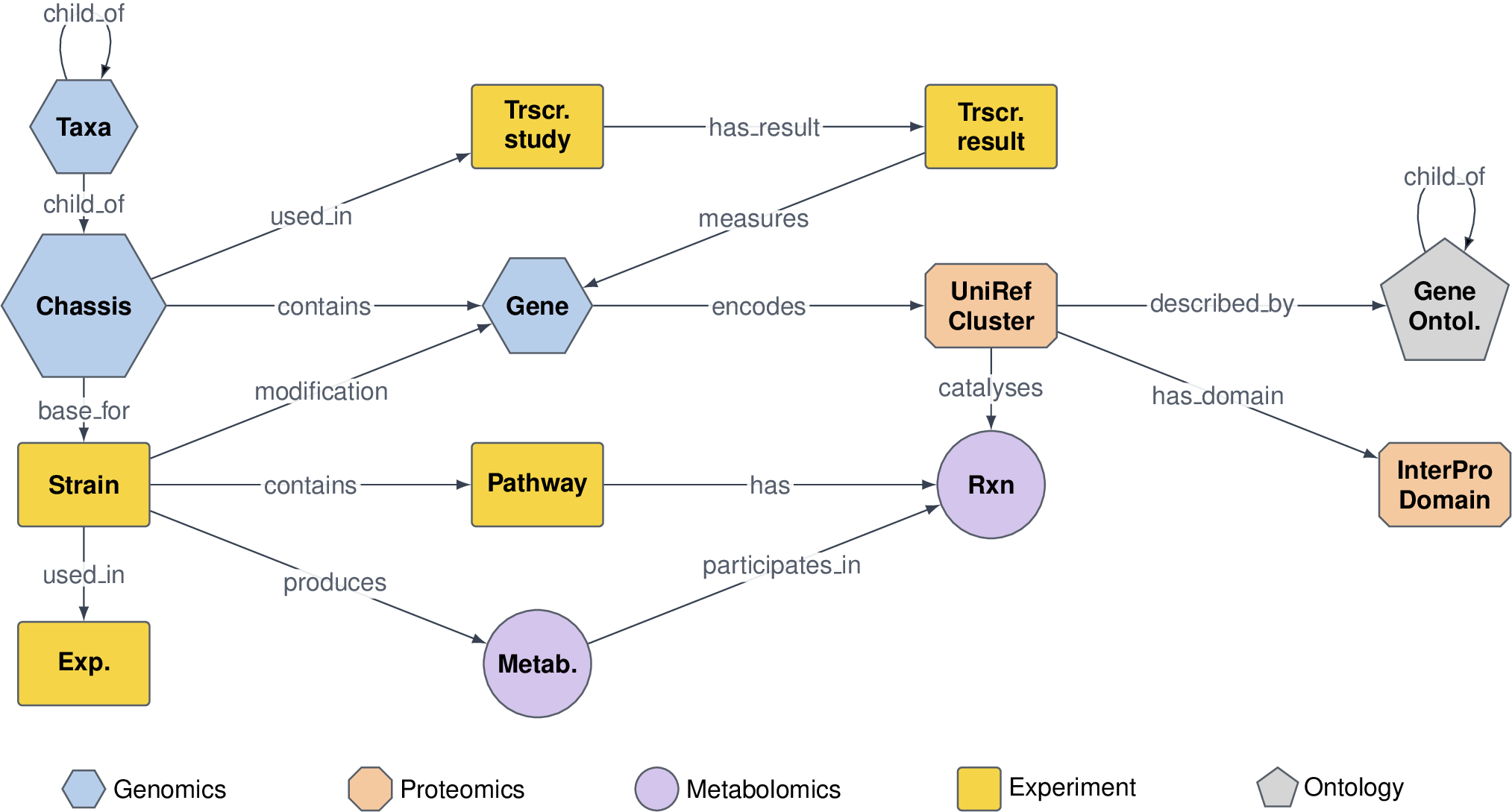 Figure 1: Canopy heterograph schema. Each node type has a distinct shape and is coloured by data domain (genomics, proteomics, metabolomics, experiment, ontology); each edge is typed by relation. Strain-to-gene modification edges include knockouts, knockins, and knockdowns.