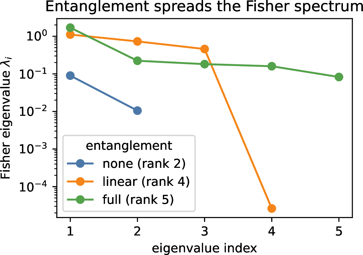 Figure 8: Fisher eigenvalue spectrum of the trained circuits at L{=}2 (single-observable readout, log scale). The non-entangled circuit has effectively two non-zero eigenvalues, linear three, and full five or more: entanglement raises the rank of the Fisher matrix and hence the effective dimension d_{\mathrm{eff}}=\log\det(I+\gamma\hat{\mathcal{F}}), exactly the quantity charged by the bound. This is the spectral content of Proposition 1.