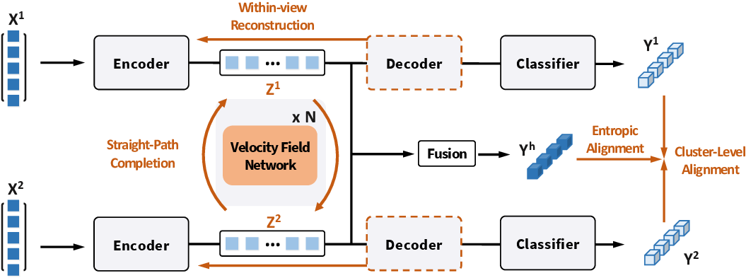 Figure 3: Overview of the proposed flow-matching framework for incomplete multi-view clustering. Each view is encoded into latent representations and reconstructed via decoders. A velocity field network models straight-path transport between paired latent for cross-view completion. The completed representations are fused for cluster prediction, followed by cluster-level alignment and entropic alignment.