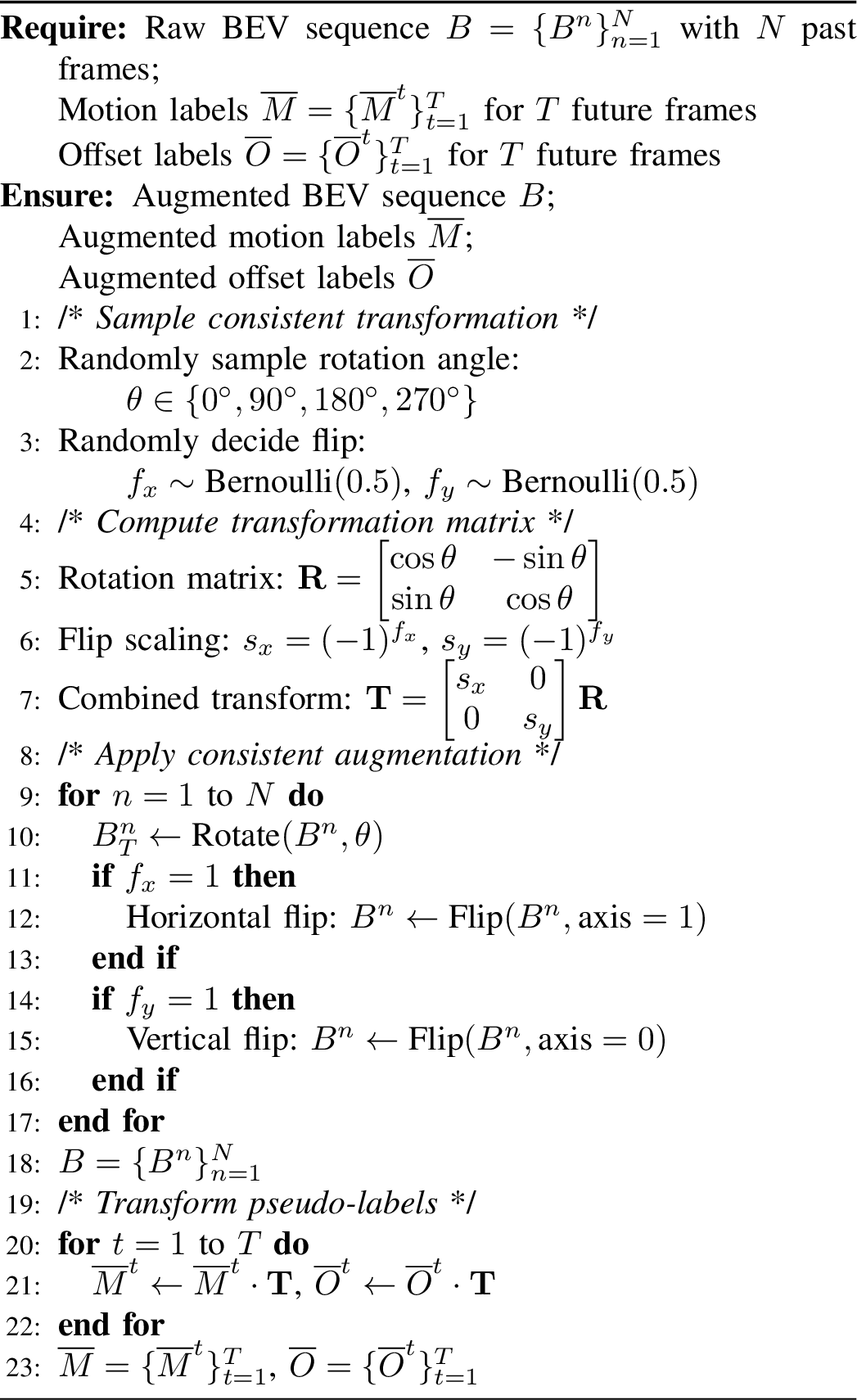 Figure 4: Rotation and Flip Augmentation