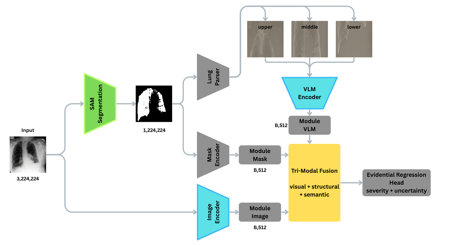 Figure 1: Overview of TMF-RSE, a tri-modal framework that integrates appearance, structural, and semantic features for severity quantification with evidential uncertainty estimation.