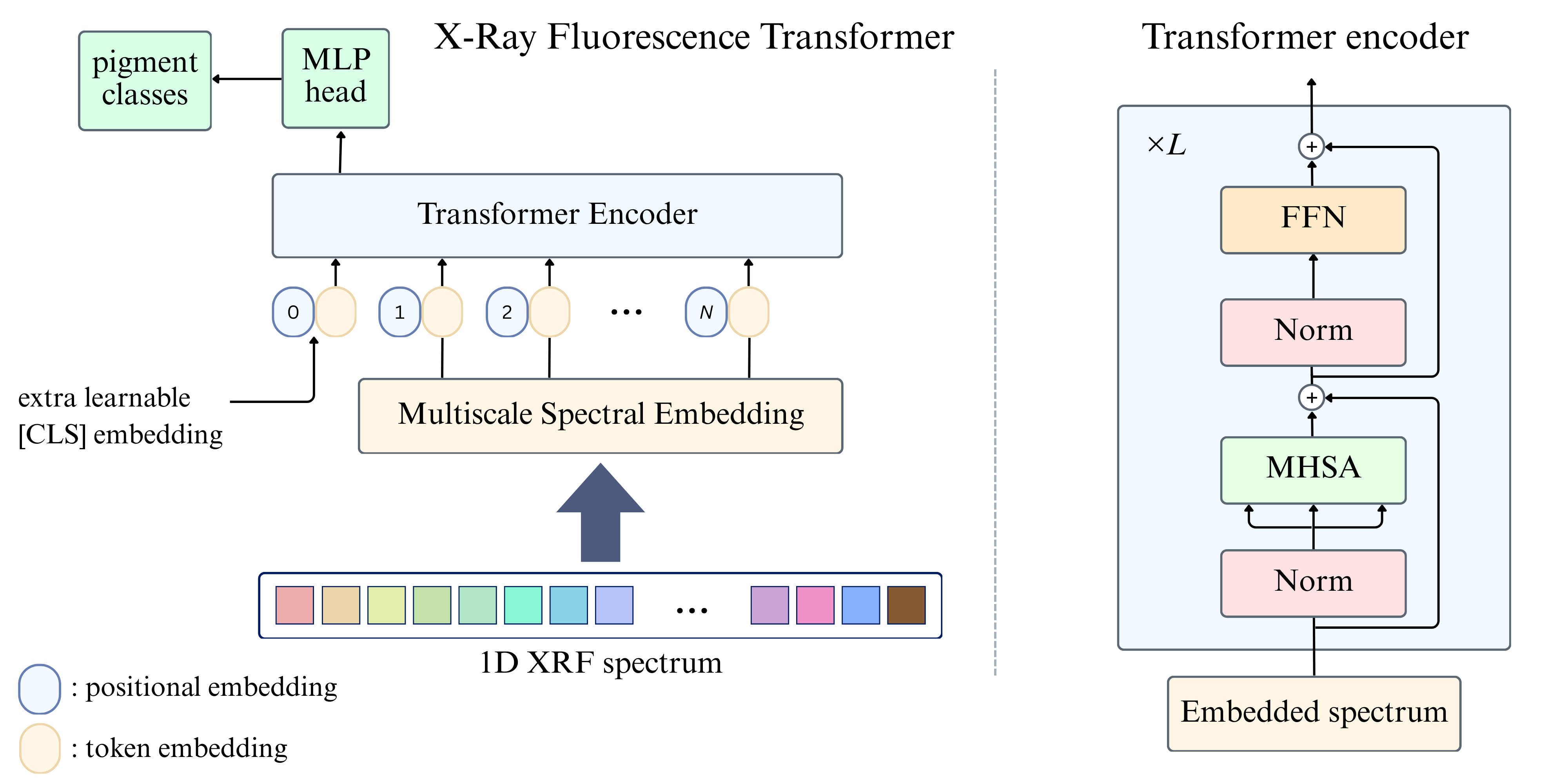 Figure 3: XRFormer overview: the multiscale convolutional tokenizer maps the input XRF spectrum to a sequence of token embeddings, which are processed by a standard transformer encoder. The final [CLS] token serves as a global representation for downstream tasks.