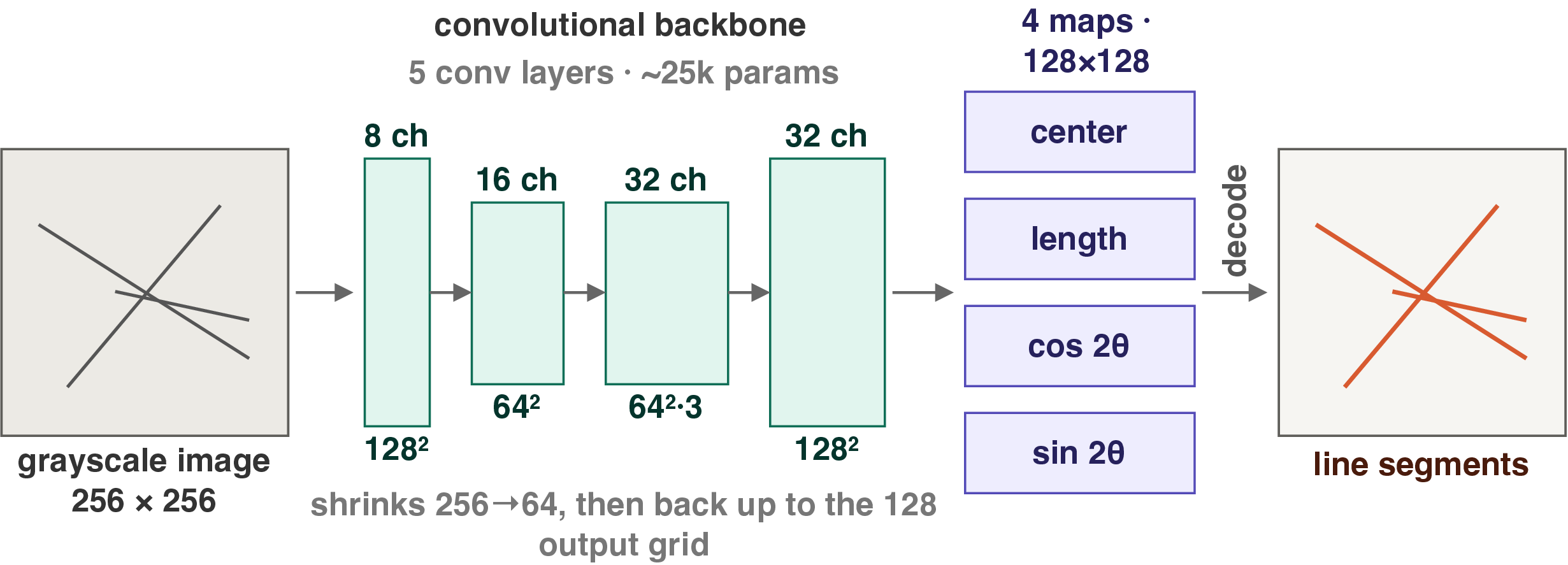 Figure 2: Backbone and output head architecture. A 256\times256 grayscale input is encoded through five strided convolutions, reducing spatial resolution to 64\times64 and expanding channels to 32. A 1\times1 projection and nearest-neighbor upsampling restore the resolution to 128\times128, followed by a 3\times3 output head producing the four prediction maps.