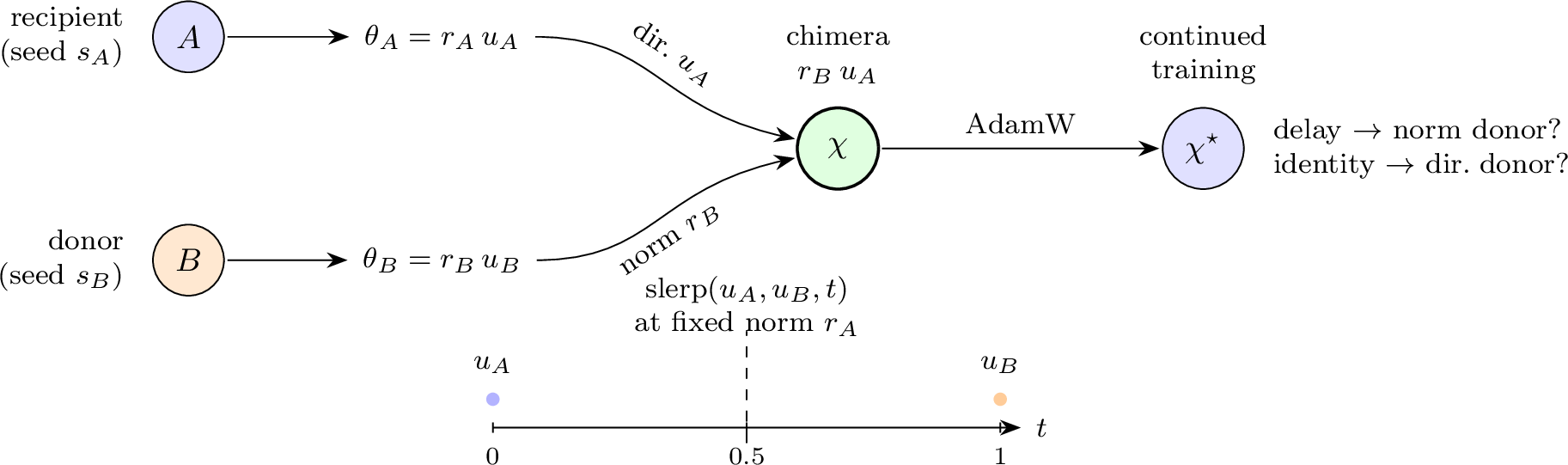 Figure 1: Cross-trajectory chimera intervention. Two networks are trainedfrom different seeds on the same task. Each weight vector is split into a normr and a unit direction u. A chimera recombines one run’s norm with theother’s direction (here r_B\,u_A) and is trained onward; we ask whether itsgrokking delay follows the norm donor and its circuit identity follows thedirection donor. The directional dose-response (inset) interpolates the implanteddirection along the geodesic from u_A to u_B at fixed norm, isolating theangular coordinate.