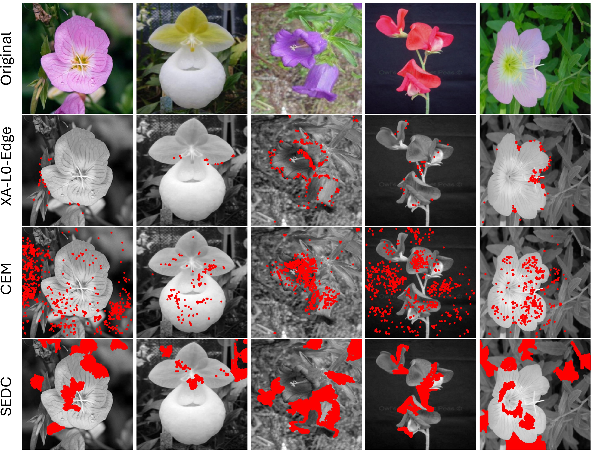 Figure 3: Flowers-102 targeted corrections on five misclassified test images. Rows show the original image and counterfactuals for XA-L_0 (edge-focused), CEM, and SEDC.