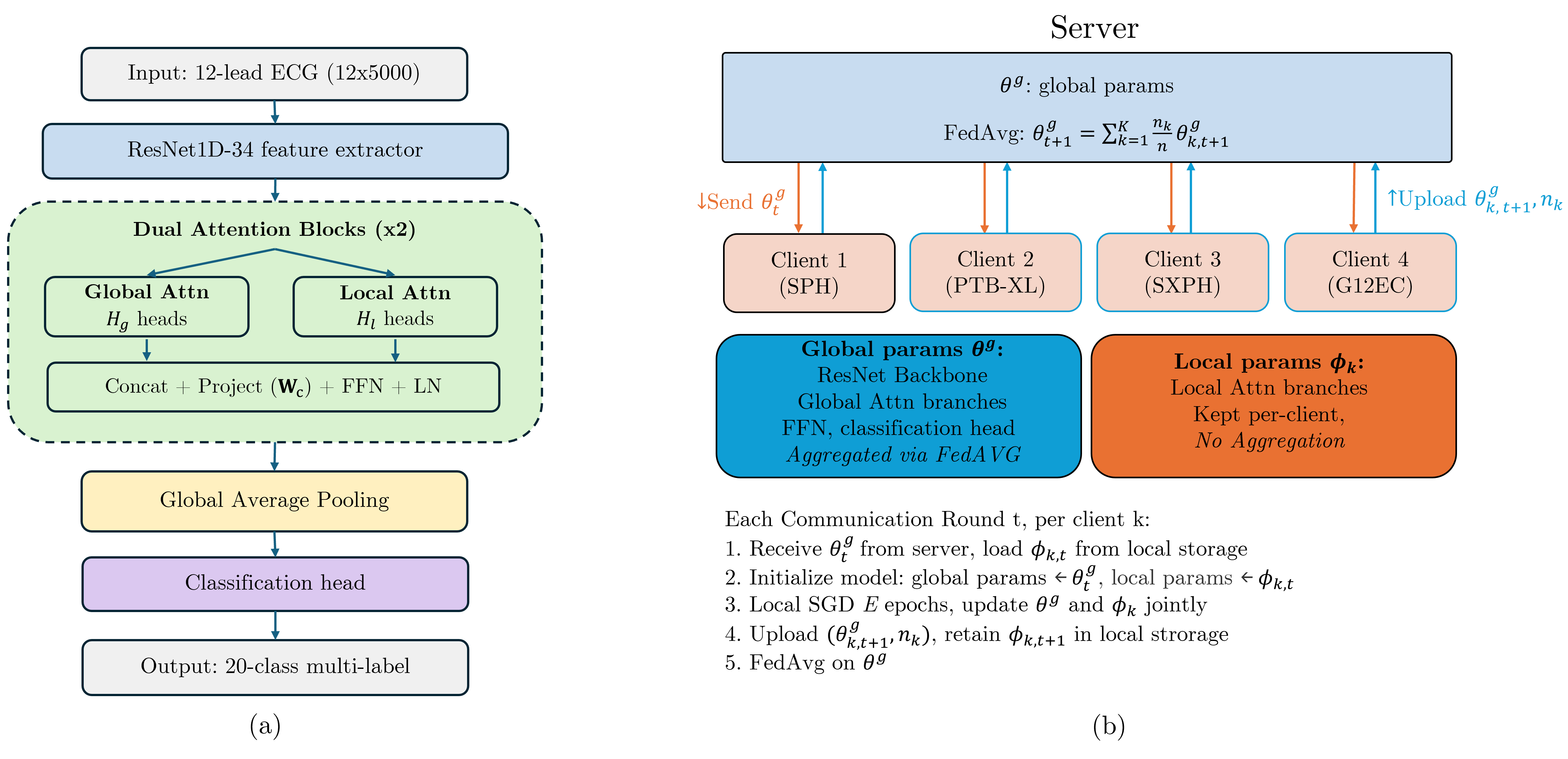 Figure 1: FedDualAtt framework. (a) DualAttentionResNet1D with parallel global (\theta^g, FedAvg-aggregated) and local (\phi_k, per-client) attention branches. (b) Federated training protocol with separate parameter stores for \theta^g and \{\phi_k\}_{k=1}^K.
