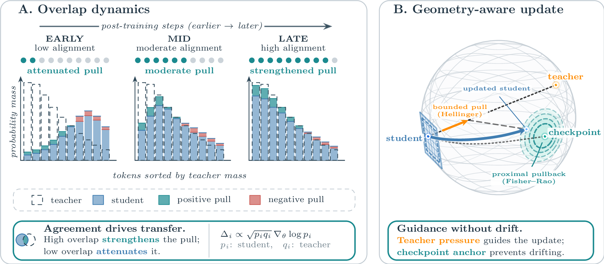 Figure 1: GeoSD regulates distillation in the geometry of predictive distributions. (A) The teacher’s pull scales with teacher–student overlap, growing with agreement. (B) Distributions lie on a sphere, where the Hellinger chord bounds each pull and the Fisher–Rao arc tracks drift from a checkpoint.