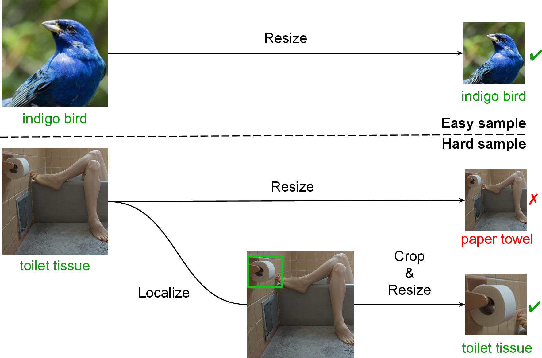 Figure 1: The prediction results of our pretrained ResNet-50 model. For easy samples, the network can still generate correct predictions at a smaller resolution (e.g. 112 \times 112 for ImageNet). For hard samples, simply resizing the images to a smaller resolution can lead to misclassification, while the dynamic cropping strategy can correctly classify hard samples at a smaller resolution.