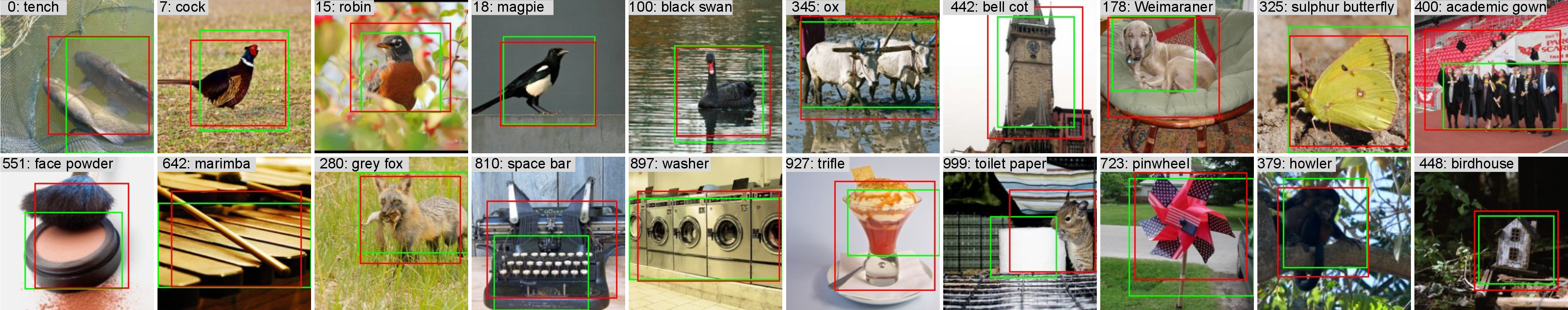 Figure 10: Visualization of the predicted bounding boxes (red) and the ground truth bounding boxes generated from Grad-CAM (green). Our predictor achieves a high localization accuracy of 62% mAP on ImageNet-1K validation set. The images above are randomly selected from ImageNet-1K.