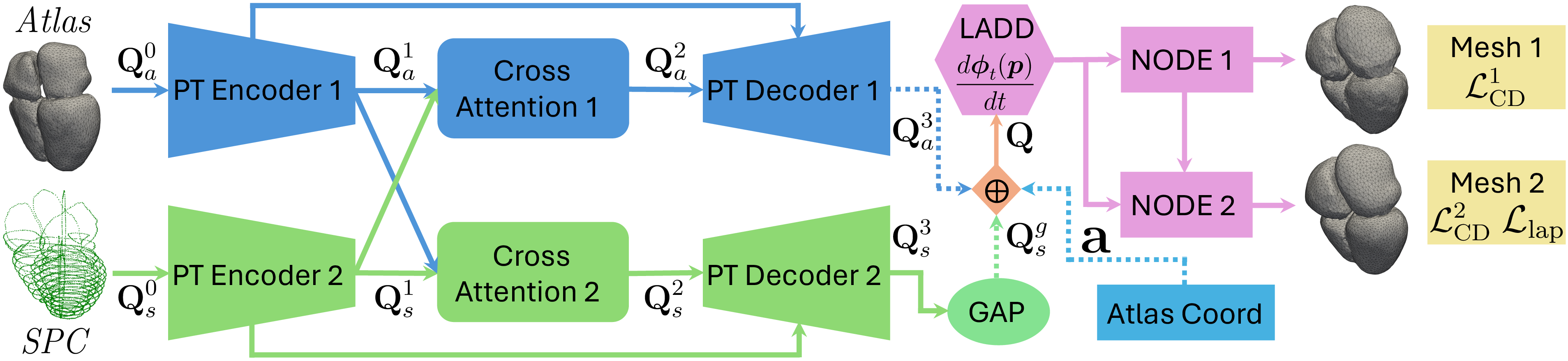 Figure 1: Architecture of Bi-PT. The bidirectional cross-attention Point Transformer (Bi-PT) learns fused atlas-SPC point features, which predict locally affine diffeomorphic deformation (LADD). Two NODE blocks then deform the atlas to produce an intermediate mesh and the final mesh. GAP: global average pooling.