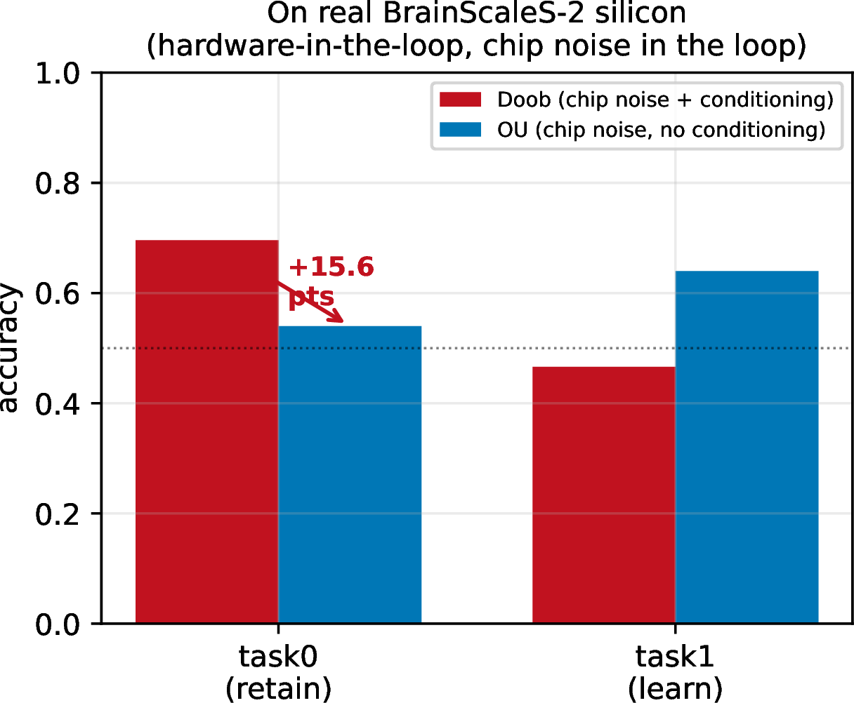 Figure 9: On real BrainScaleS-2 silicon (hardware-in-the-loop; the chip’s intrinsic noise is the diffusion). After learning task 2, the barrier-conditioned rule retains task 1 at 69.6%vs.%for the matched unconditioned control (+15.6pts). Single seed, one operating point; the rule trades some task-2 plasticity for the retention (stated in text).