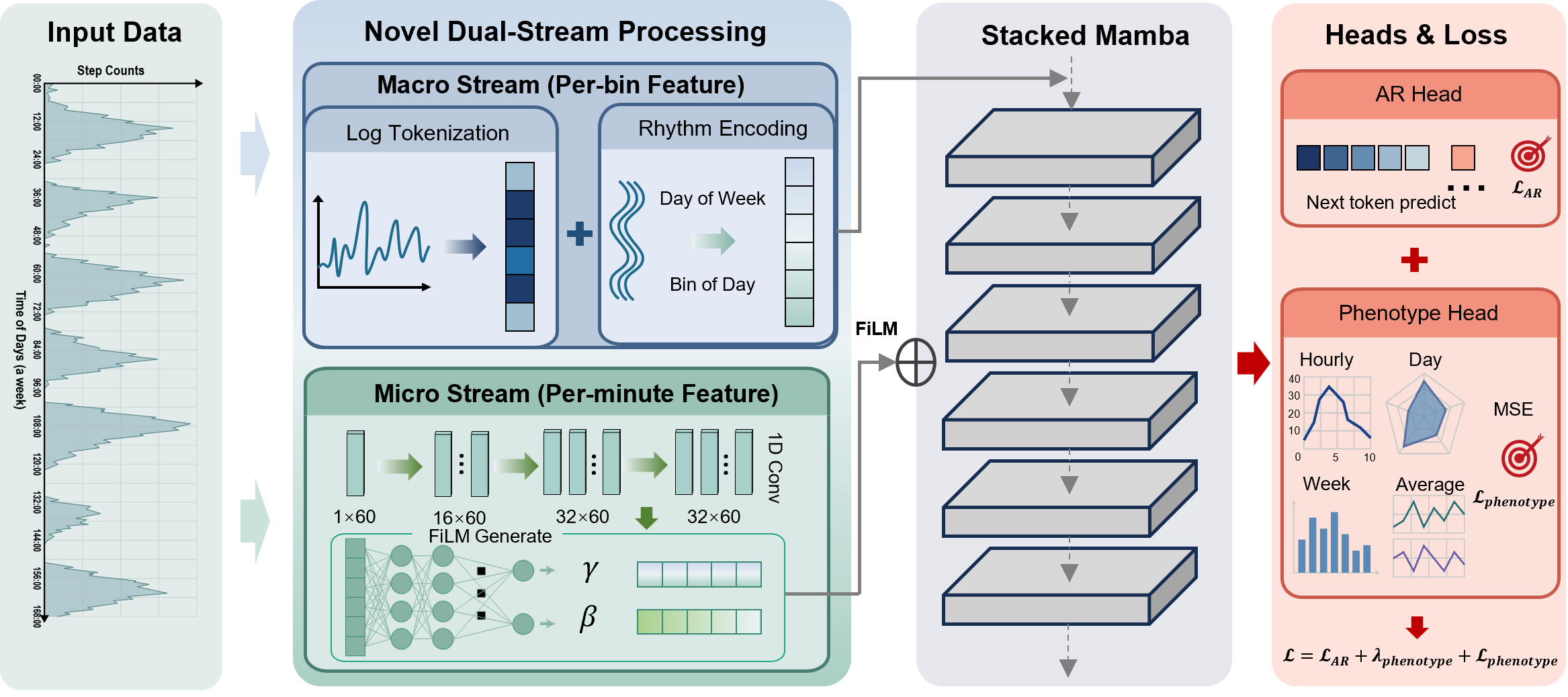 Figure 4: Self-supervised pre-training framework of StepFM. Raw minute-level step counts are first encoded into hourly macro tokens using log-scaled tokenization and temporal rhythm injection, while preserving local intra-hour dynamics via a micro CNN. These dual-stream representations are fed into a Mamba backbone, dynamically modulated by FiLM of micro stream, and jointly optimized through autoregressive next-token prediction and hierarchical activity phenotype alignment.