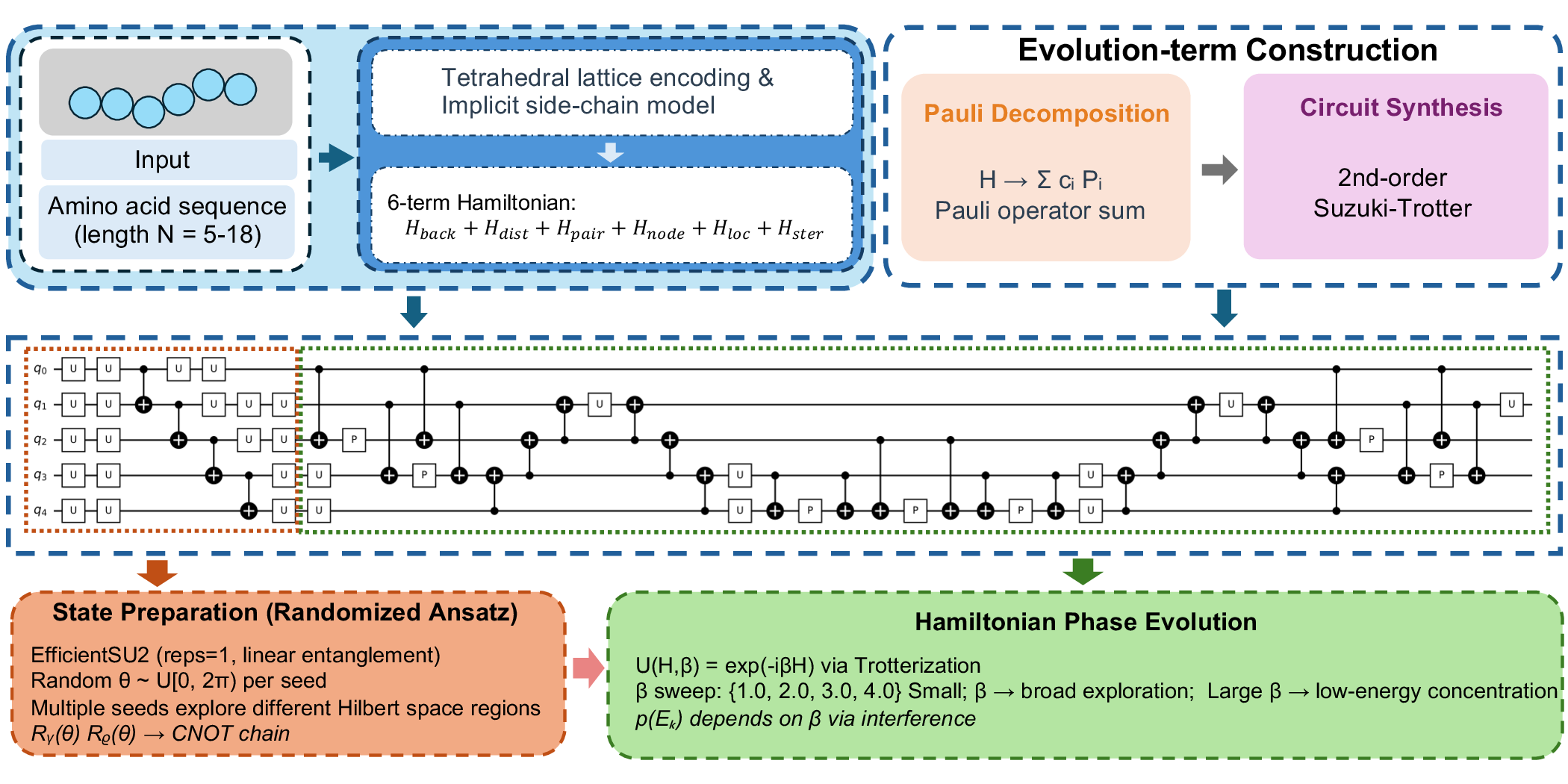 Figure 4: Circuit-construction workflow of QSAD. The input amino-acid sequence is encoded to form a coarse-grained Hamiltonian. The Hamiltonian is decomposed into Pauli operators and compiled into a second-order Suzuki–Trotter circuit.