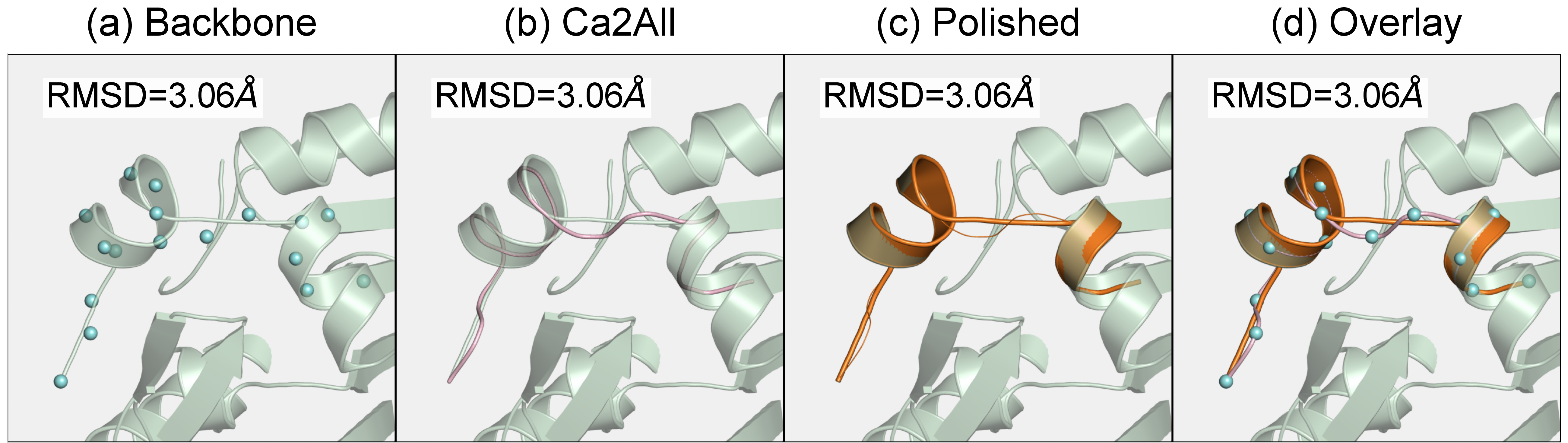 Figure 12: Structure overlay for protein 2A14 across three pipeline stages. The C\alpha backbone remains identical throughout. Panels a–d show the progression from backbone nodes to full-atom reconstruction and their overlap. No structural change or displacement is introduced during post-processing, and post-processing itself does not improve the protein structure.